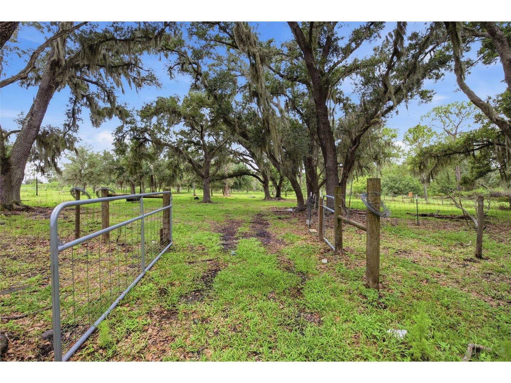 10066 Mizell Road Myakka City FL 34251 A4700821 image51