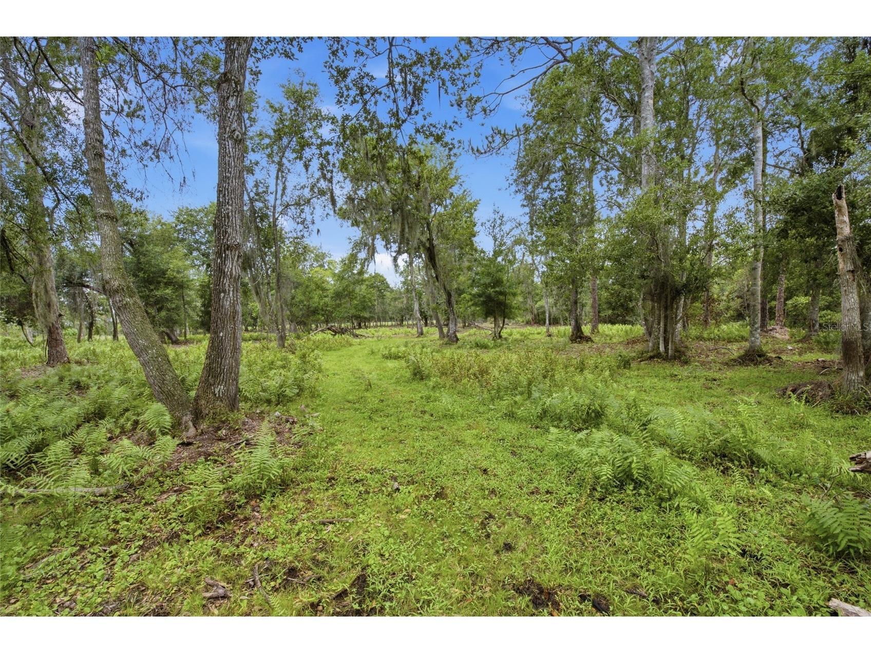 10066 Mizell Road Myakka City FL 34251 A4700821 image52