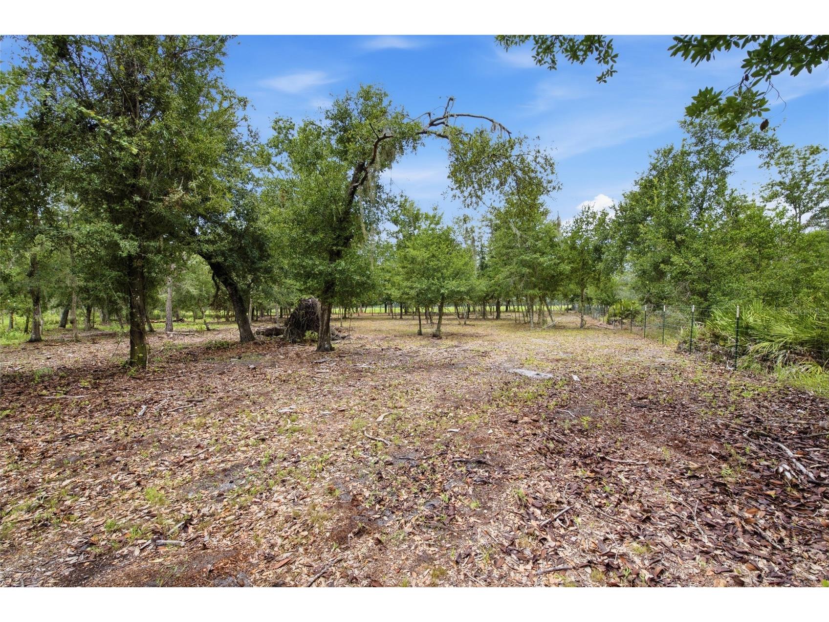 10066 Mizell Road Myakka City FL 34251 A4700821 image54