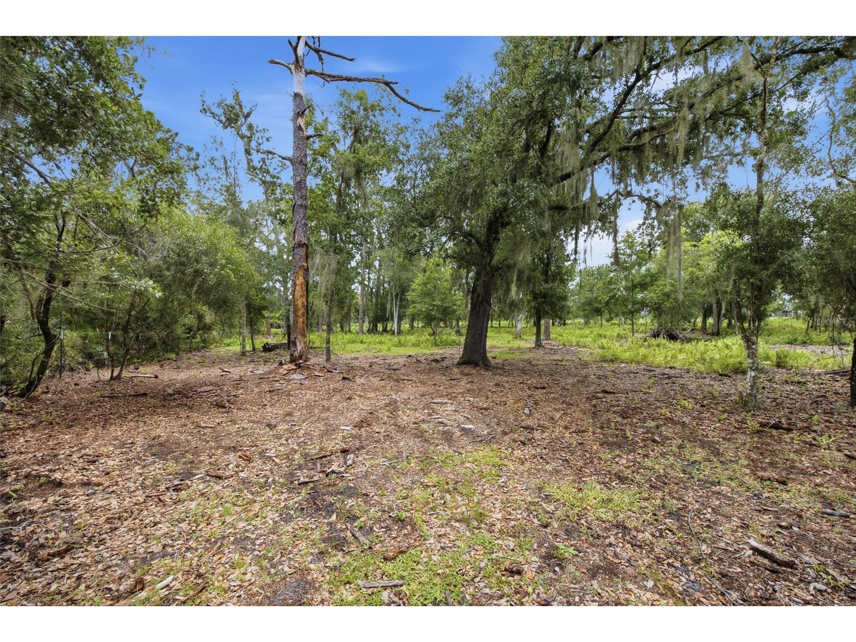 10066 Mizell Road Myakka City FL 34251 A4700821 image55