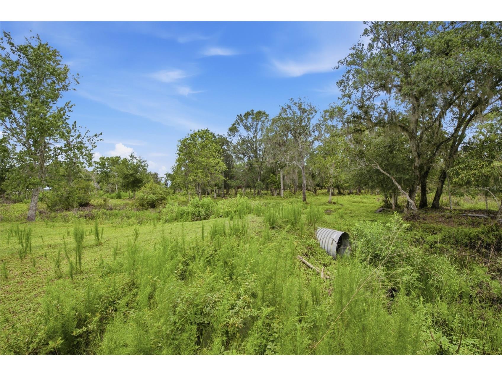 10066 Mizell Road Myakka City FL 34251 A4700821 image56