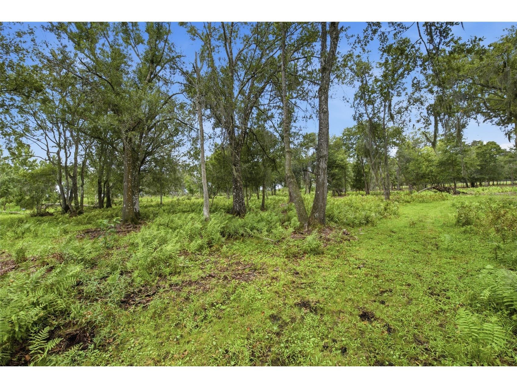 10066 Mizell Road Myakka City FL 34251 A4700821 image57