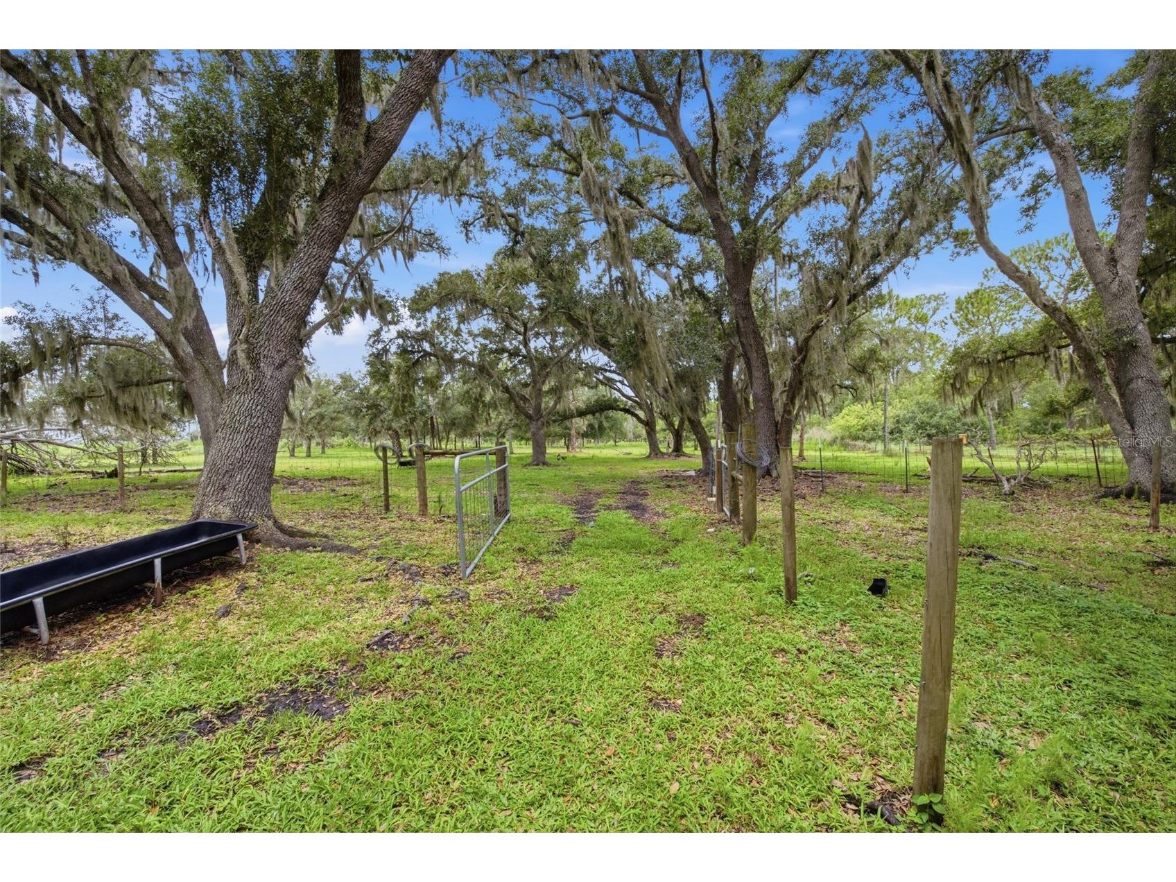 10066 Mizell Road Myakka City FL 34251 A4700821 image59