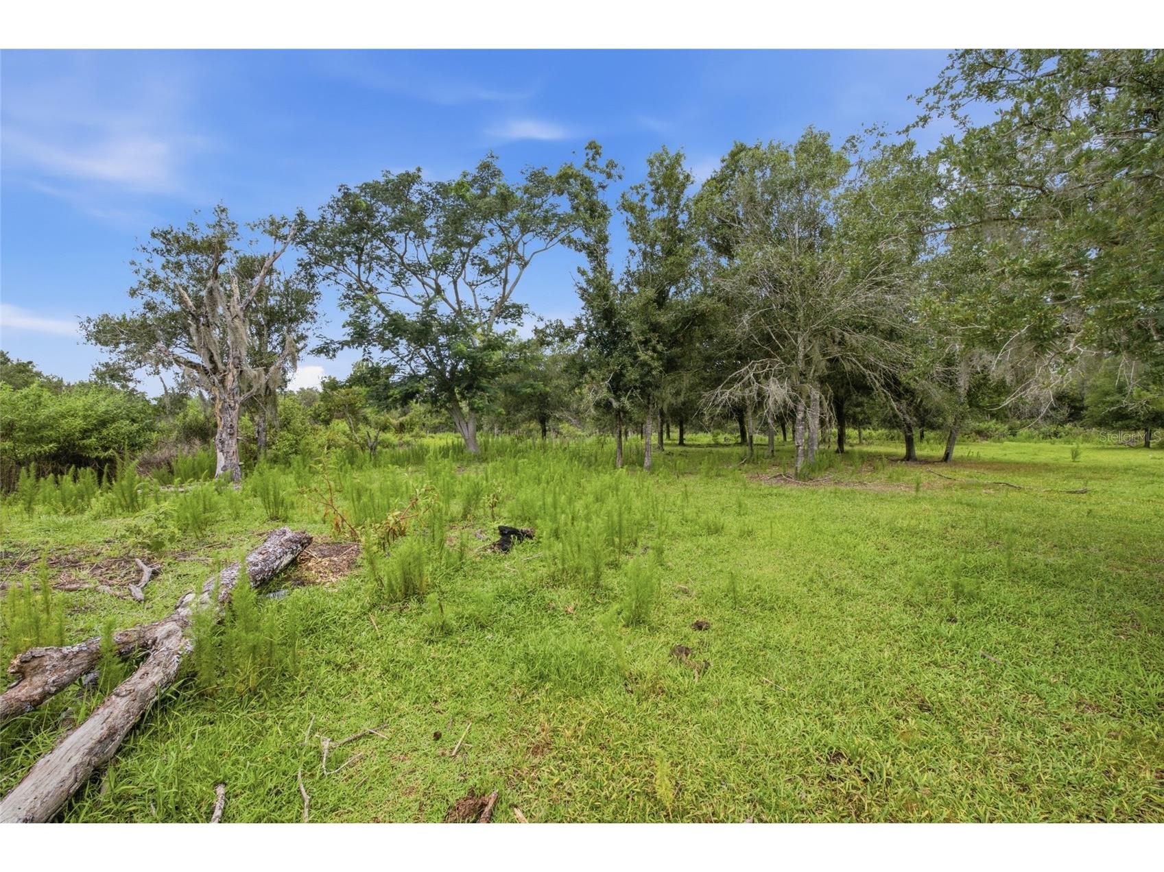 10066 Mizell Road Myakka City FL 34251 A4700821 image60