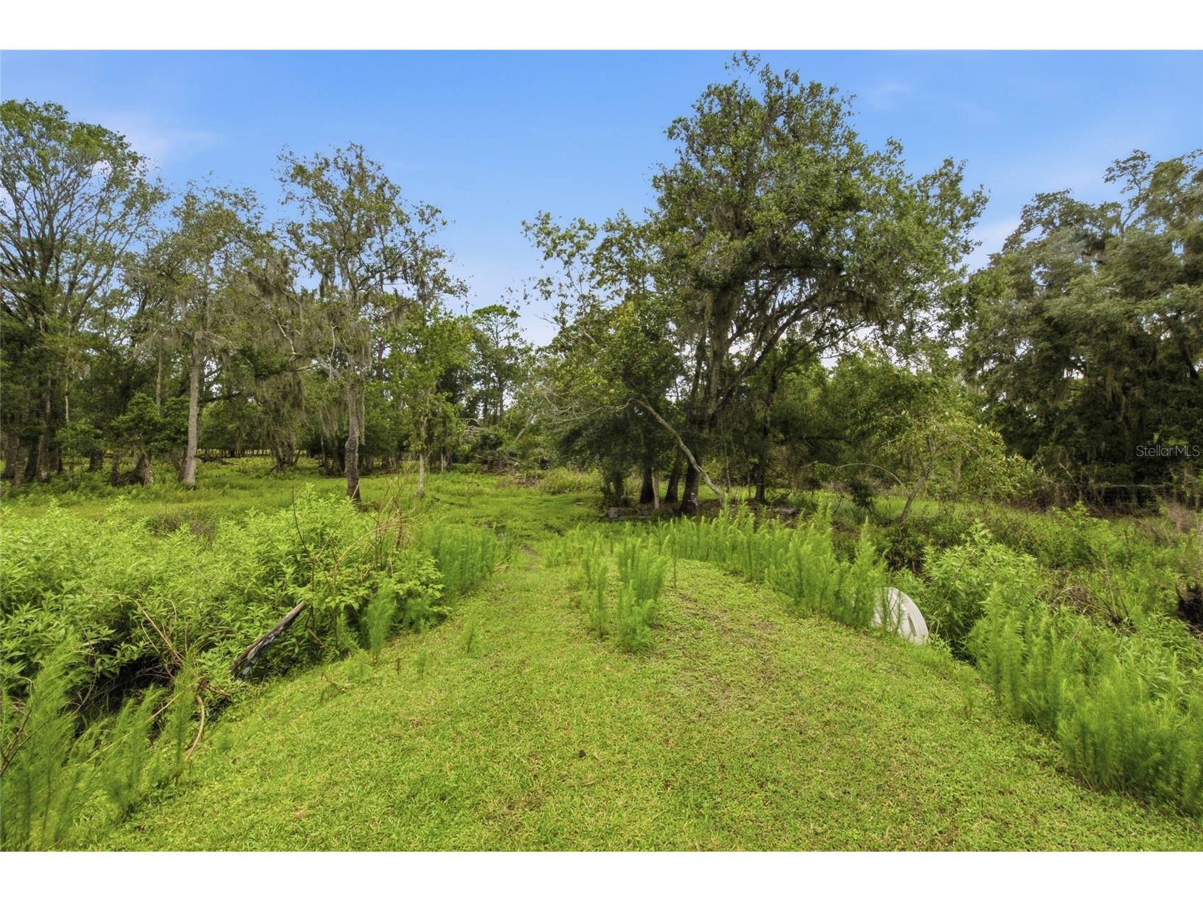 10066 Mizell Road Myakka City FL 34251 A4700821 image61