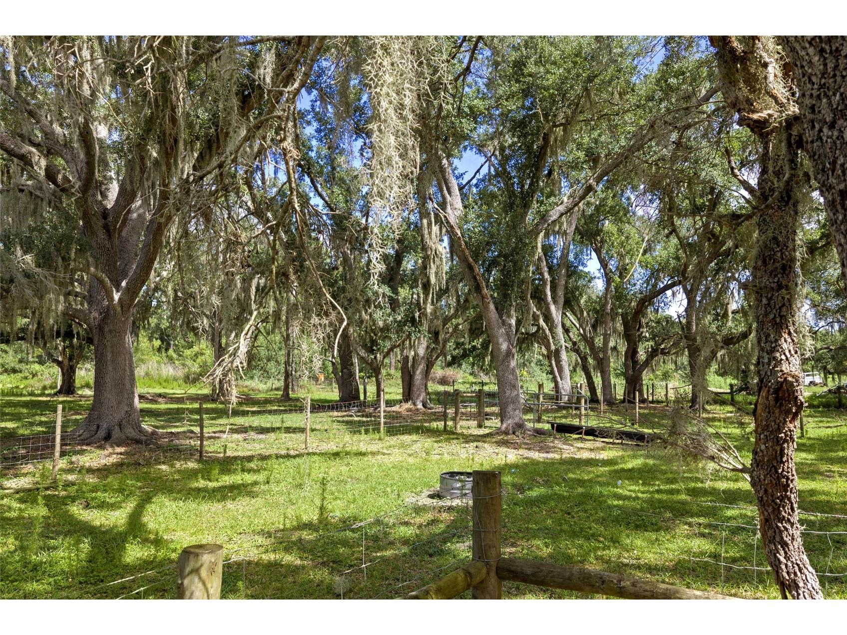 10066 Mizell Road Myakka City FL 34251 A4700821 image68