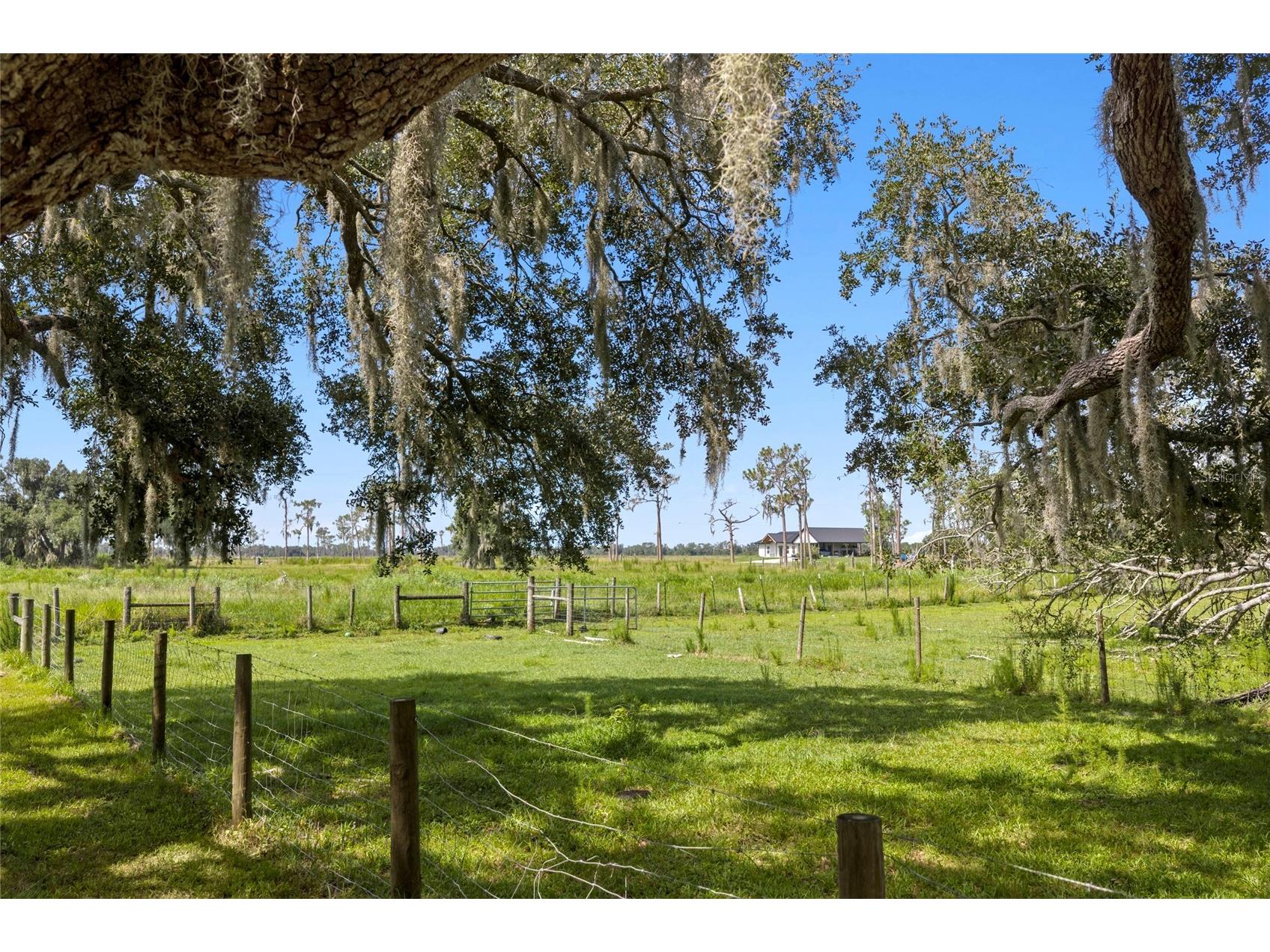 10066 Mizell Road Myakka City FL 34251 A4700821 image69