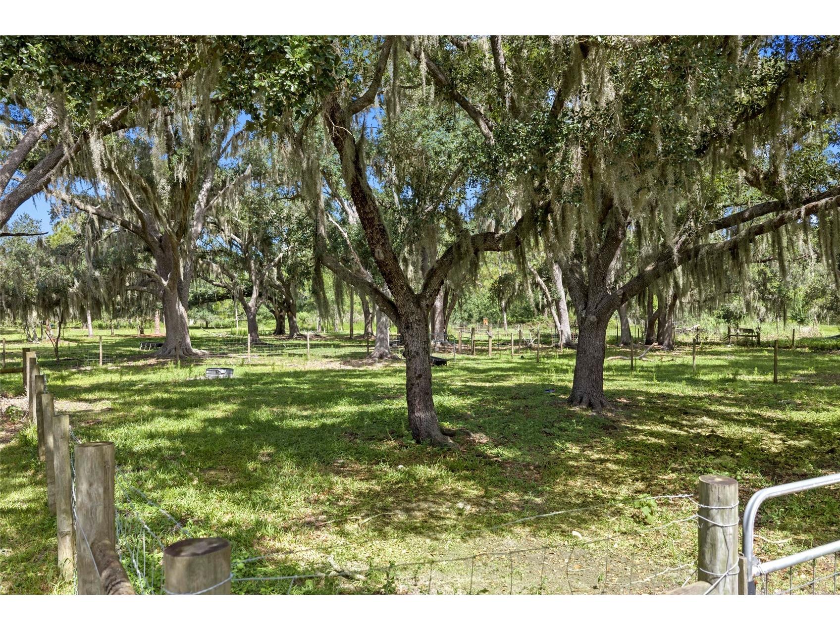 10066 Mizell Road Myakka City FL 34251 A4700821 image73