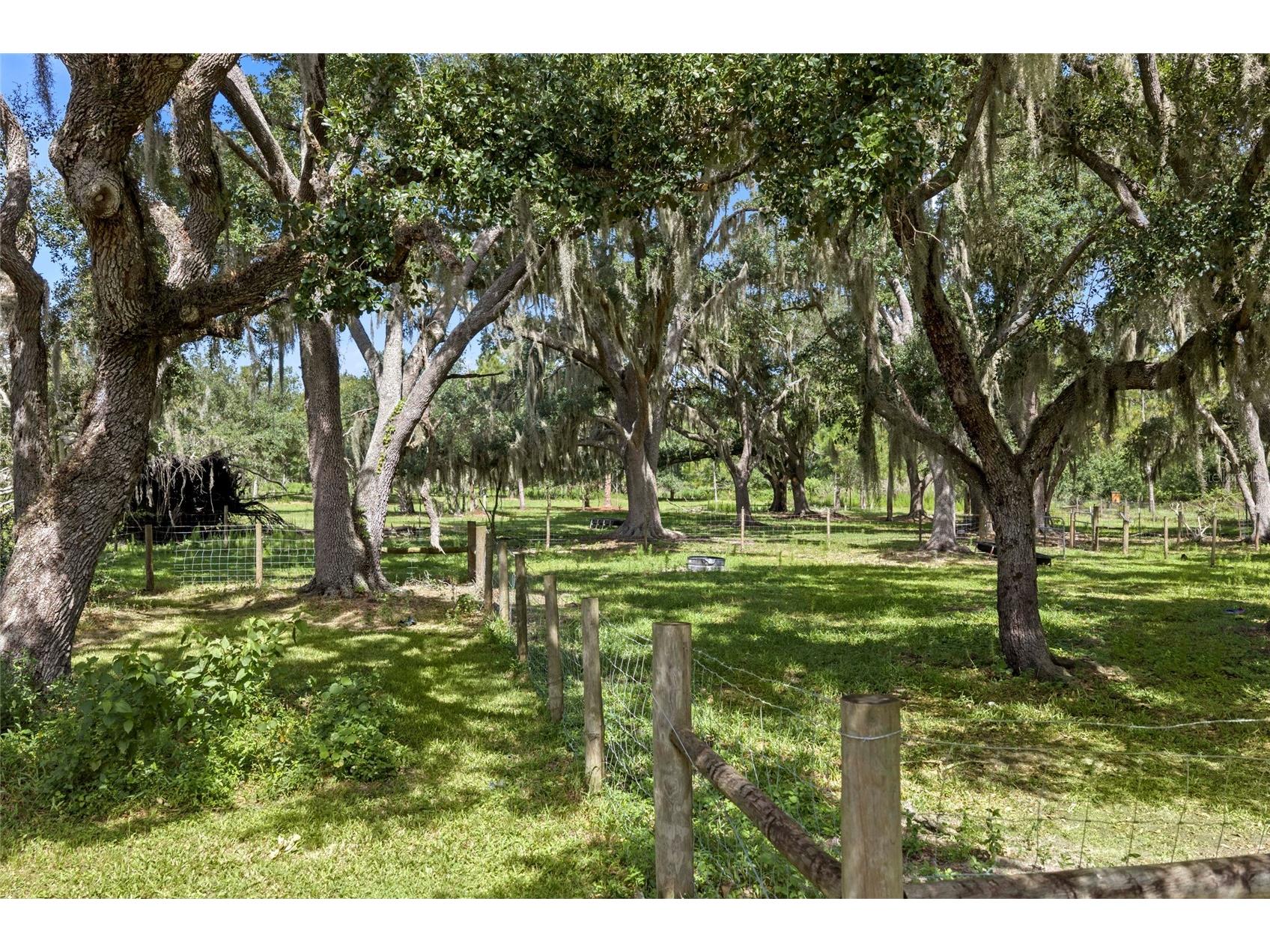 10066 Mizell Road Myakka City FL 34251 A4700821 image75