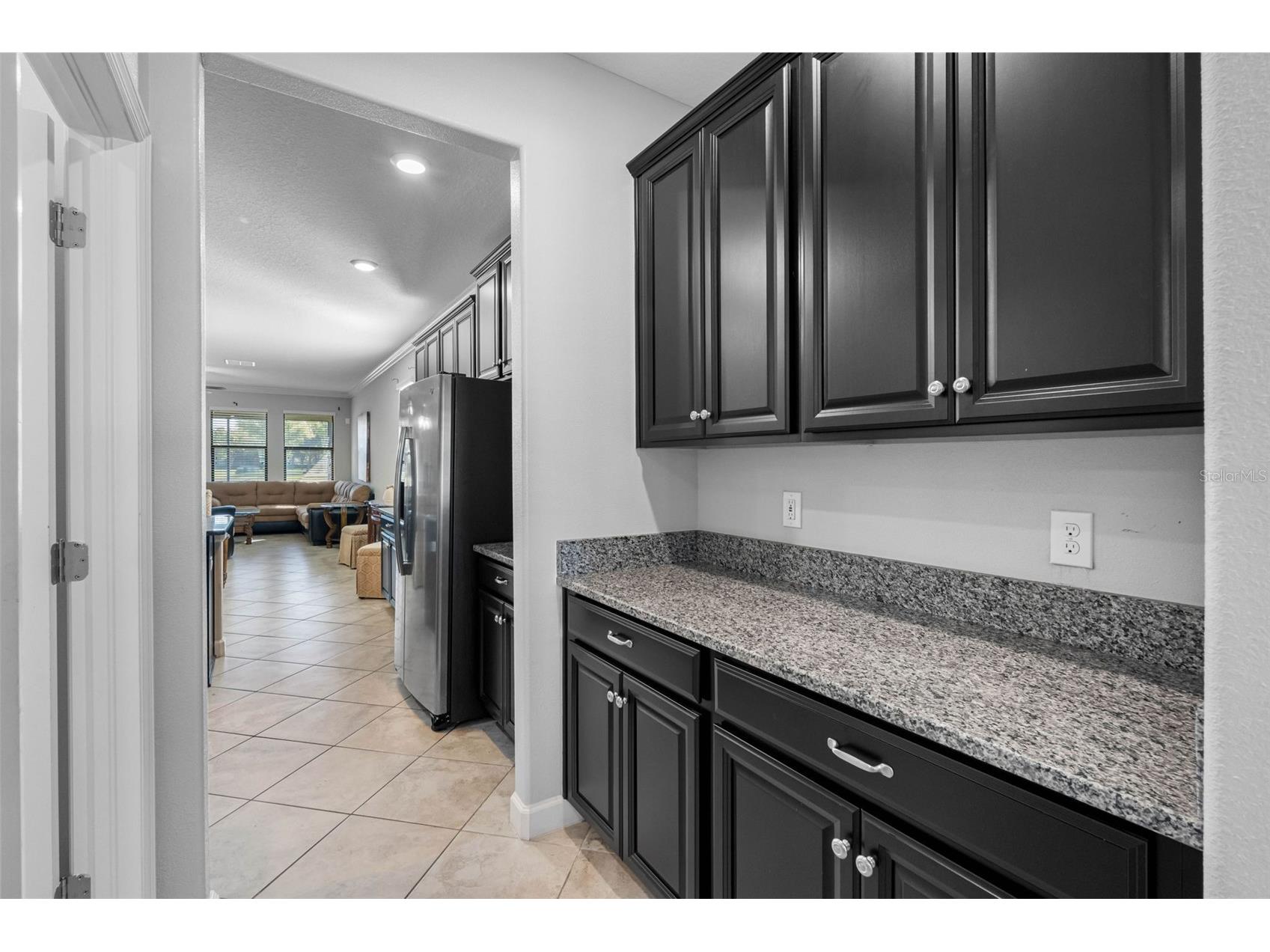 10066 Victory Gallop Loop Ruskin FL 33573 TB8497715 image11