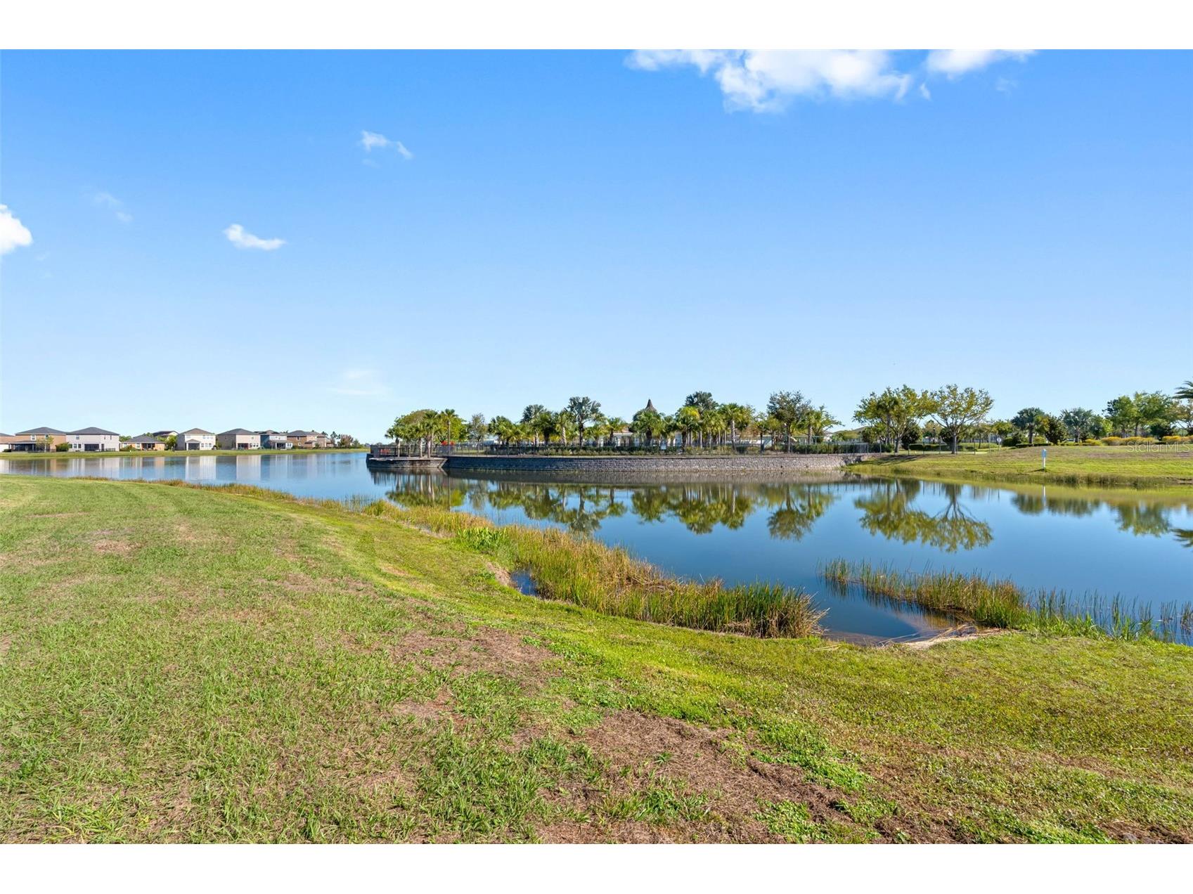 10066 Victory Gallop Loop Ruskin FL 33573 TB8497715 image58