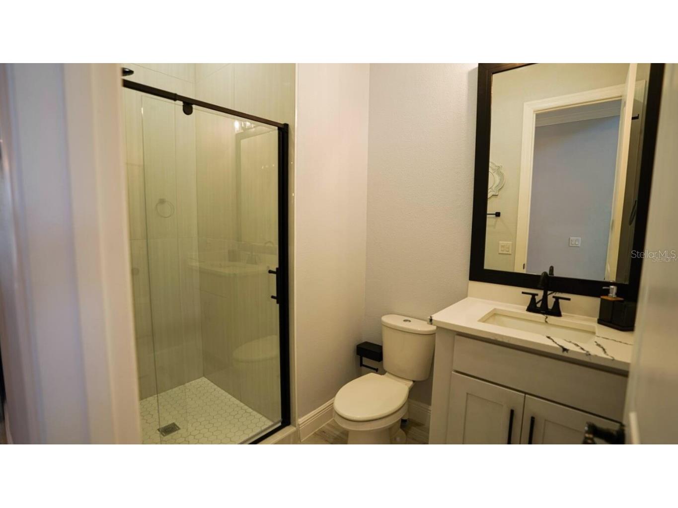 10067 Austrina Oak Loop Winter Garden FL 34787 O6361968 image11