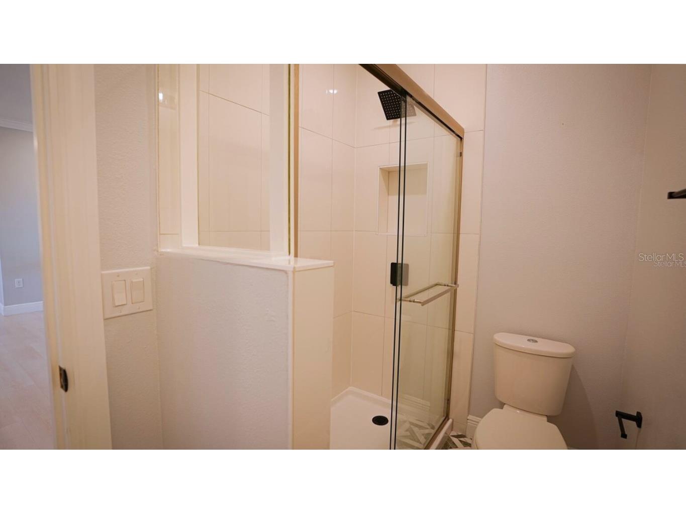 10067 Austrina Oak Loop Winter Garden FL 34787 O6361968 image41