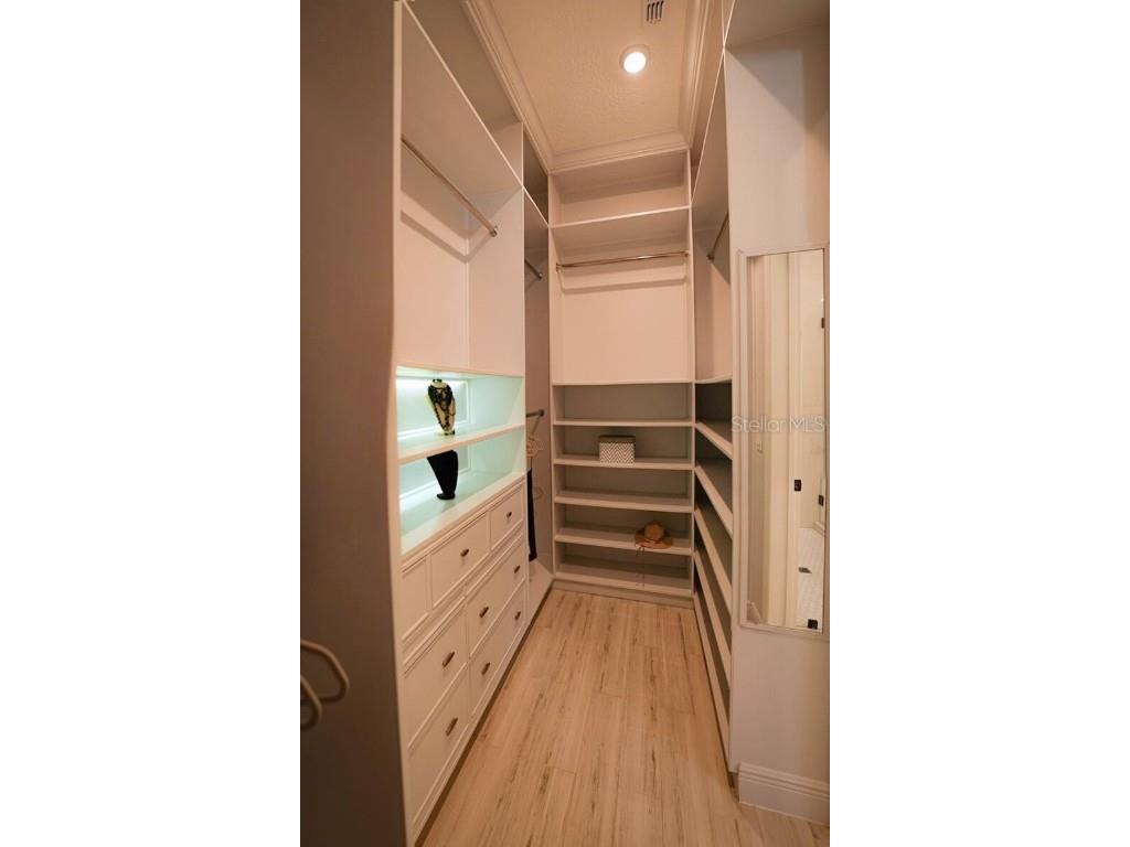 10067 Austrina Oak Loop Winter Garden FL 34787 O6361968 image45