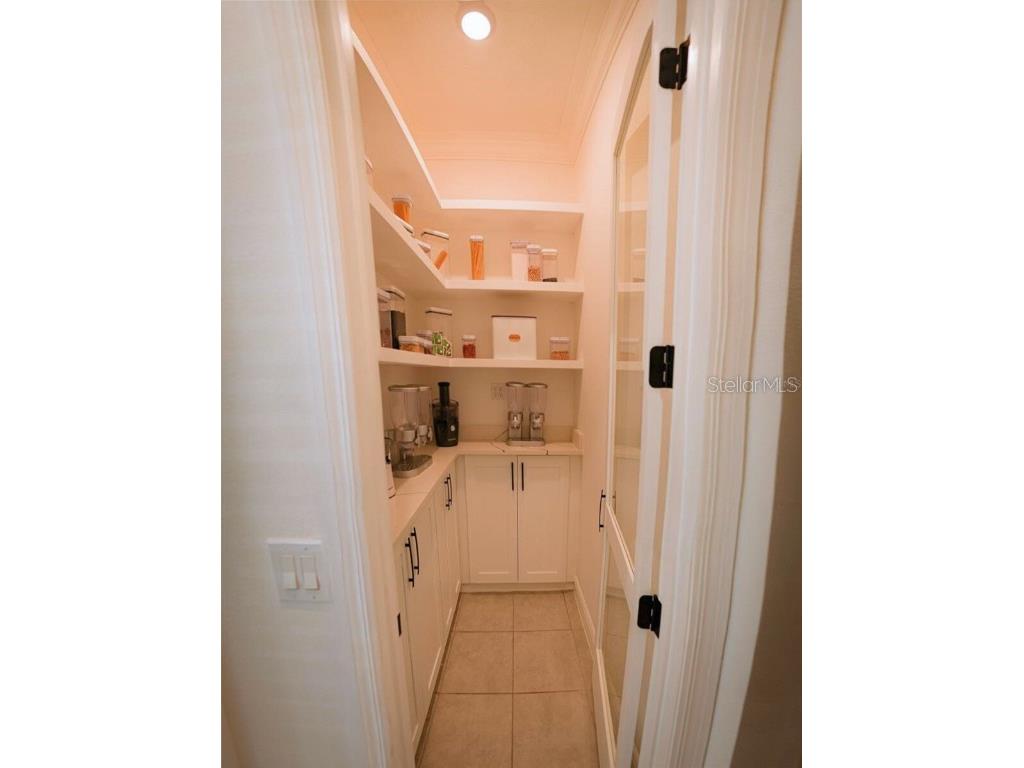 10067 Austrina Oak Loop Winter Garden FL 34787 O6361968 image46