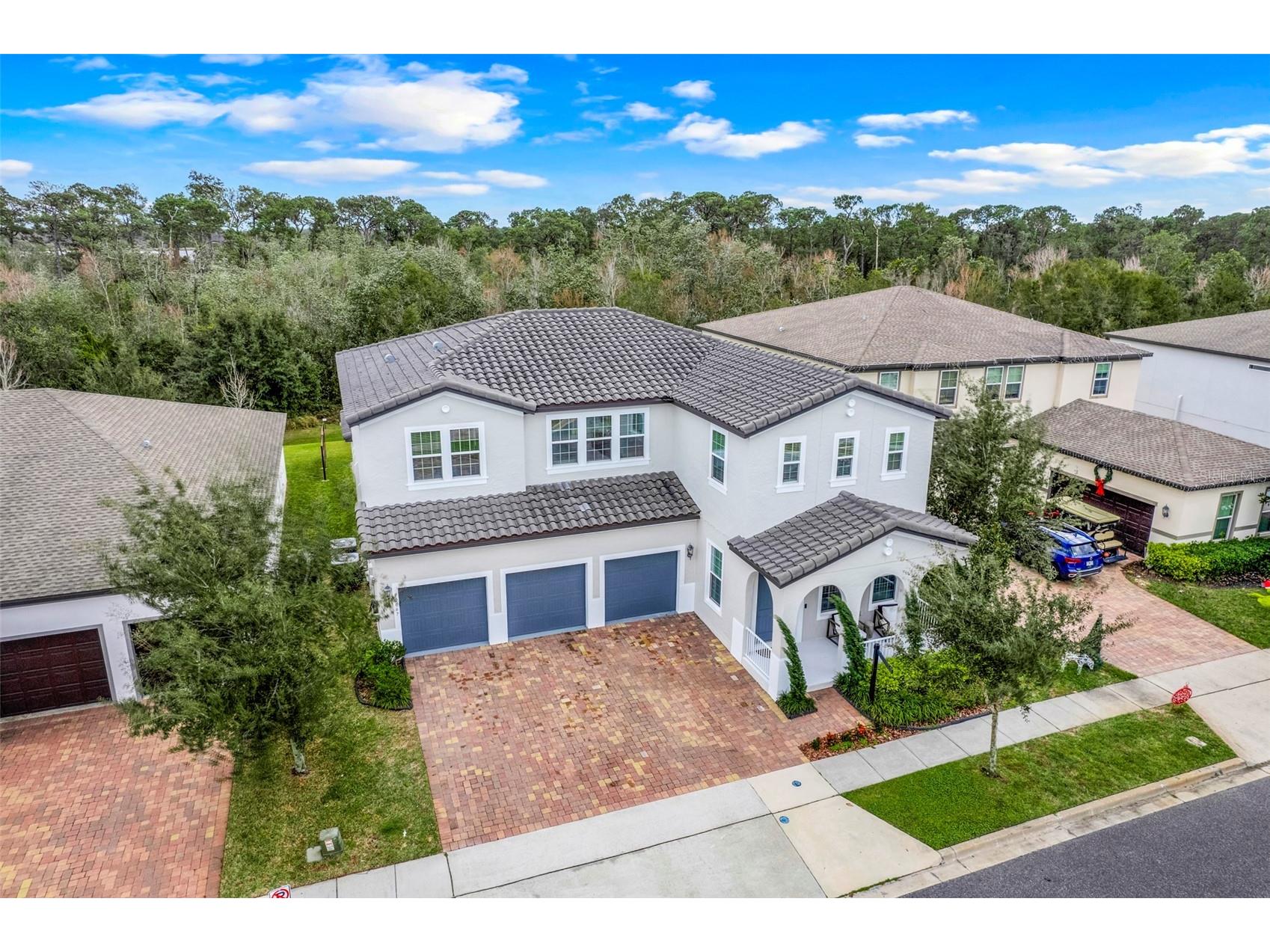 10067 Austrina Oak Loop Winter Garden FL 34787 O6361968 image67