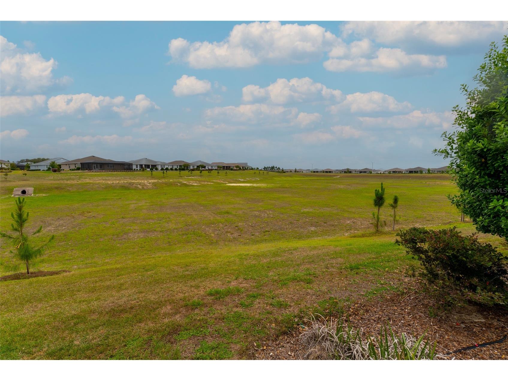 10067 SW 89th Loop Ocala FL 34481 OM724256 image6