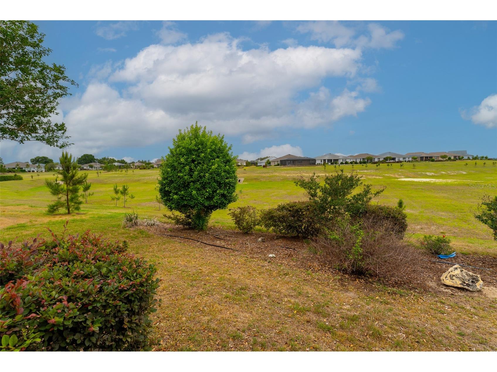 10067 SW 89th Loop Ocala FL 34481 OM724256 image7