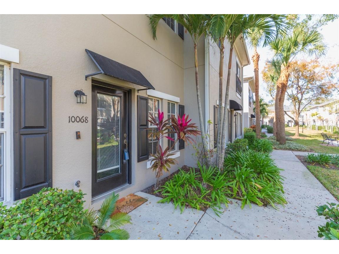 10068 Old Haven Way Tampa FL 33624 TB8328145 image1
