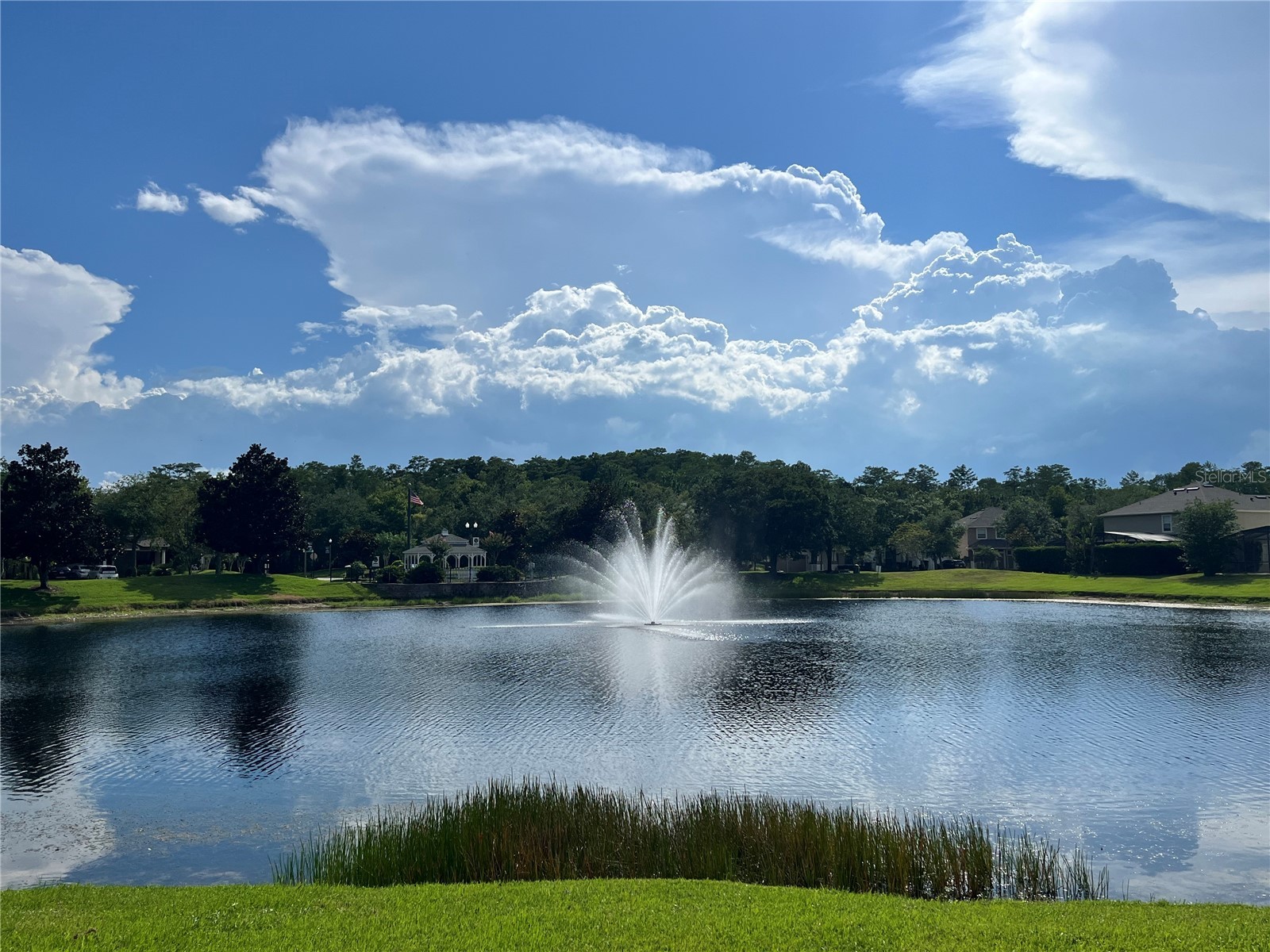 10068 Silver Laurel Way Orlando FL 32832 S5151788 image2