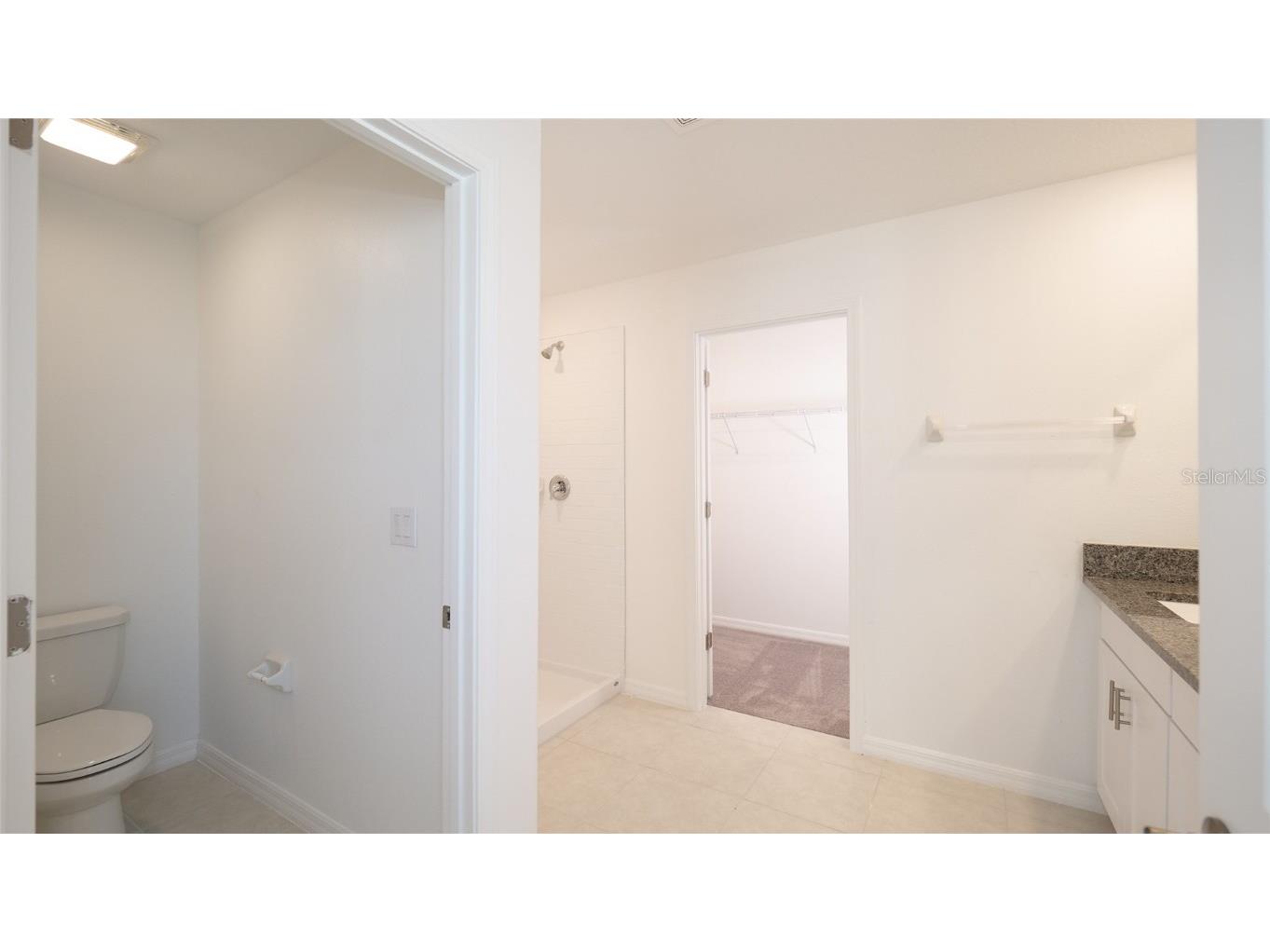 10069 Branching Ship Trace Wesley Chapel FL 33545 TB8421458 image16