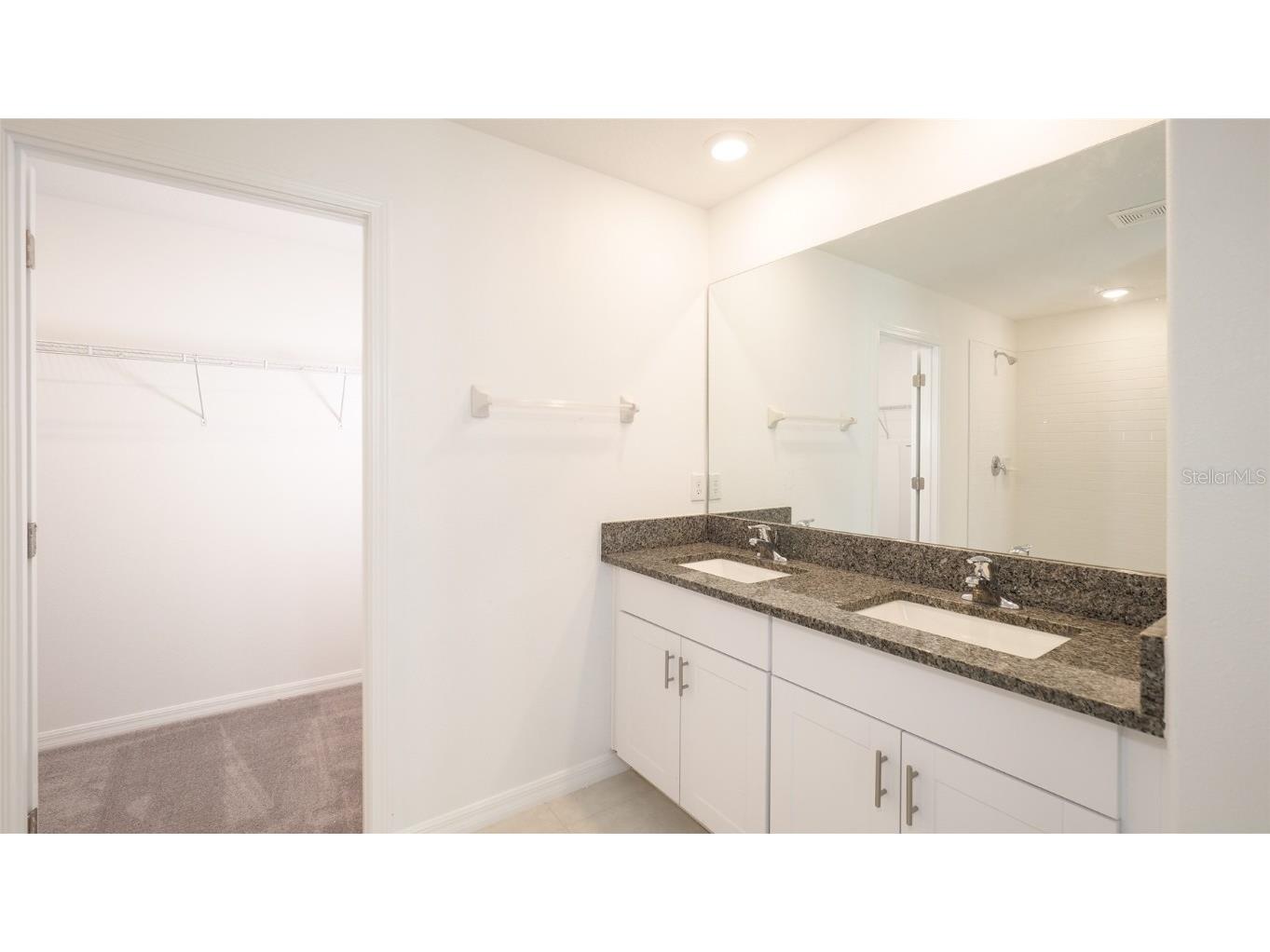 10069 Branching Ship Trace Wesley Chapel FL 33545 TB8421458 image18