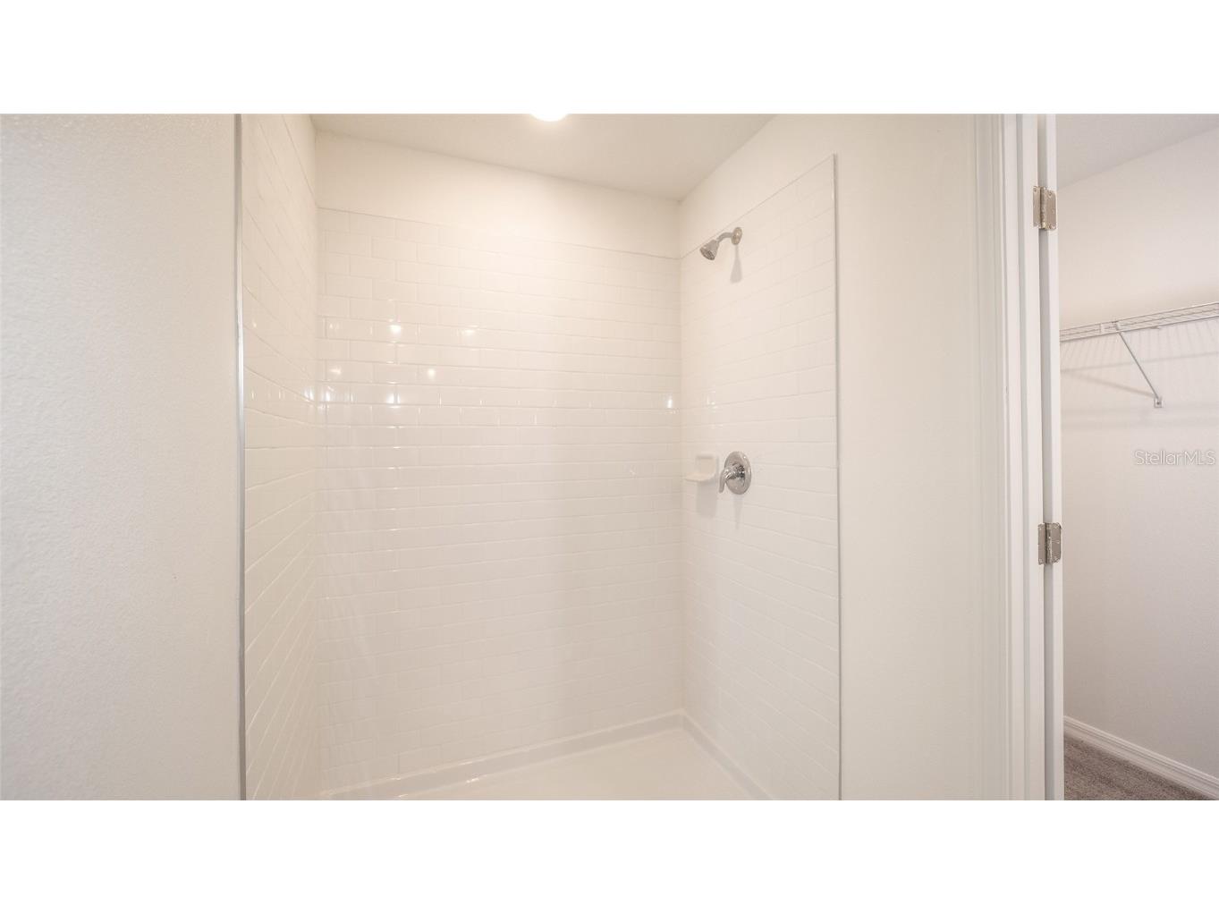 10069 Branching Ship Trace Wesley Chapel FL 33545 TB8421458 image19