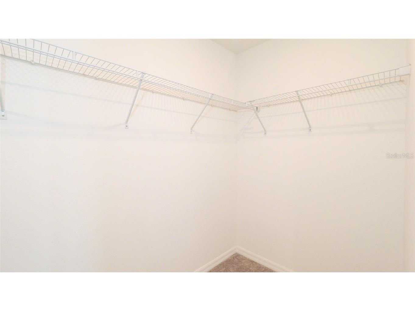 10069 Branching Ship Trace Wesley Chapel FL 33545 TB8421458 image21