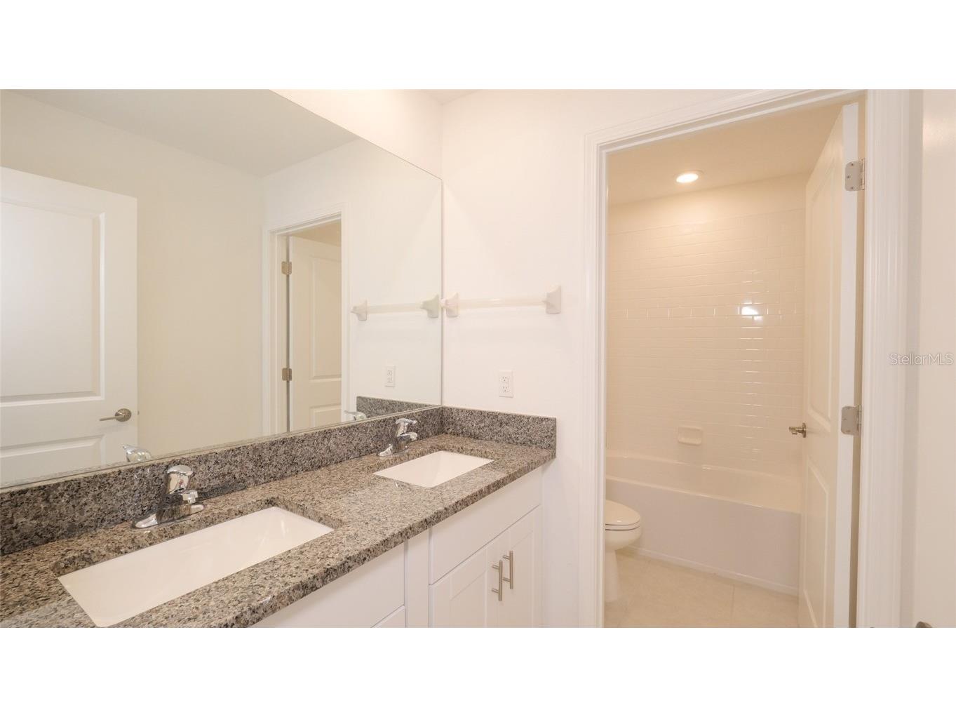 10069 Branching Ship Trace Wesley Chapel FL 33545 TB8421458 image27