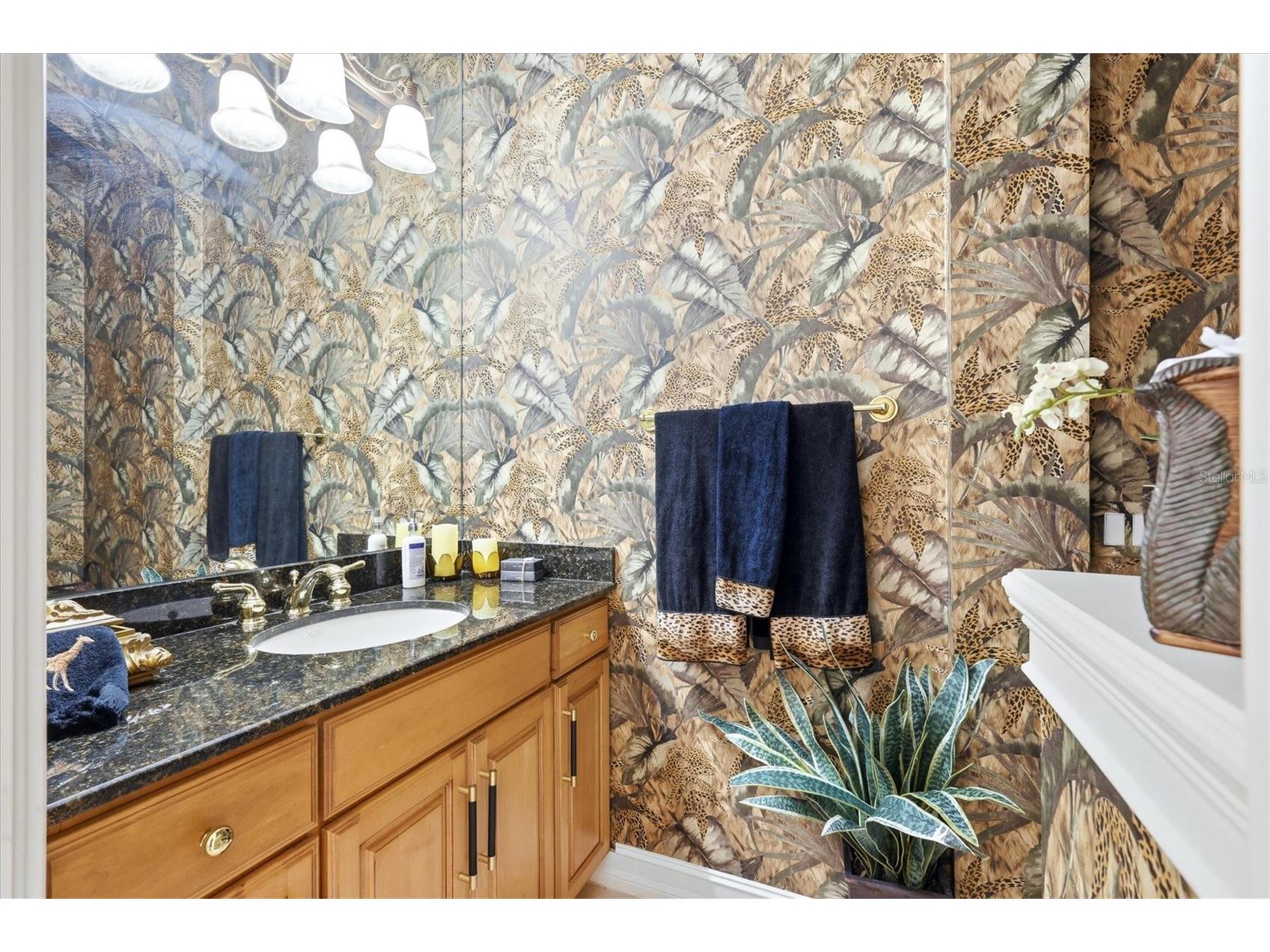 1007 3rd Street E Palmetto FL 34221 - RIVIERA DUNES BASIN MARINA A4686966 image28