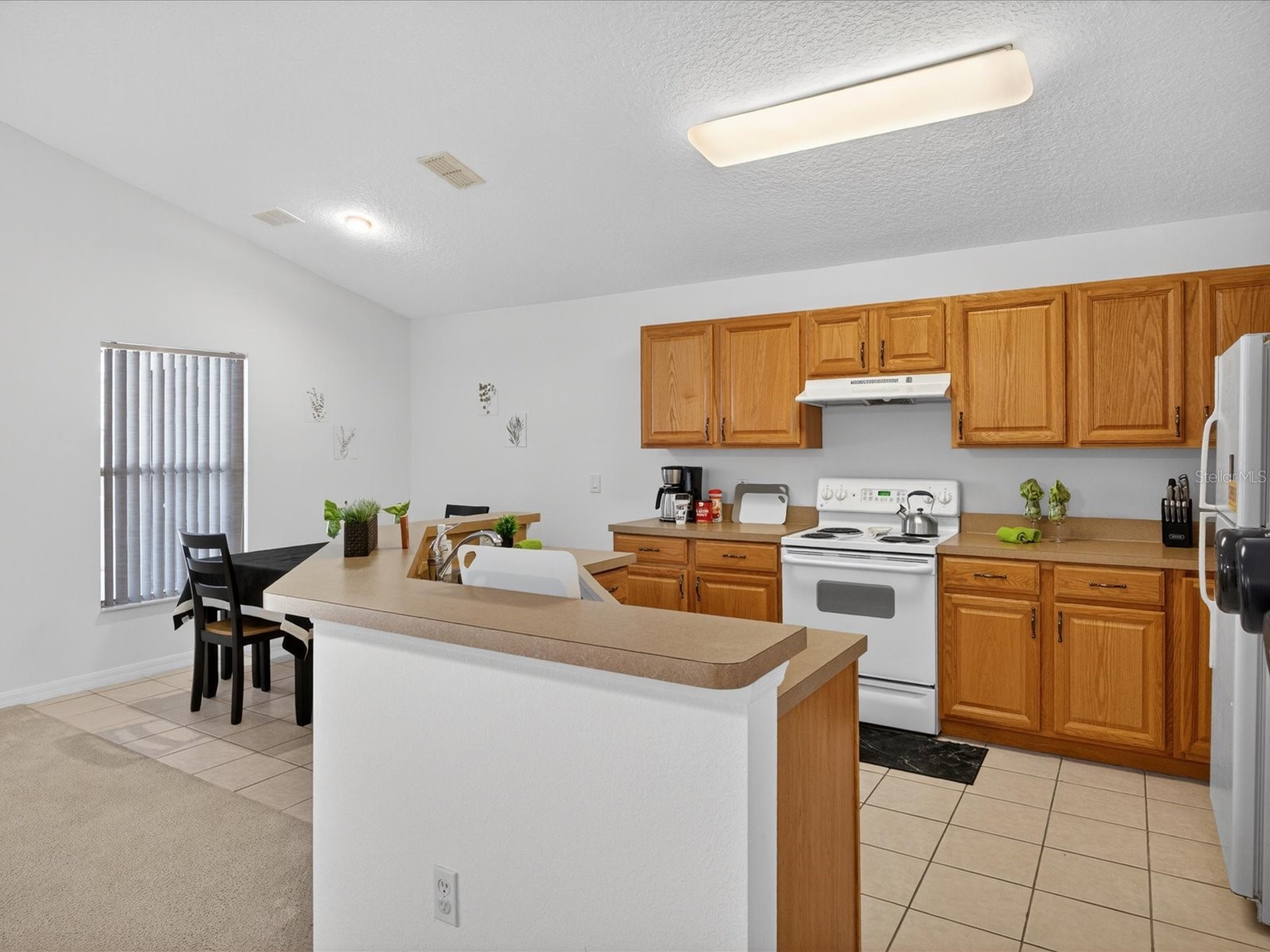 1007 Balmoral Drive Davenport FL 33896 O6400432 image17