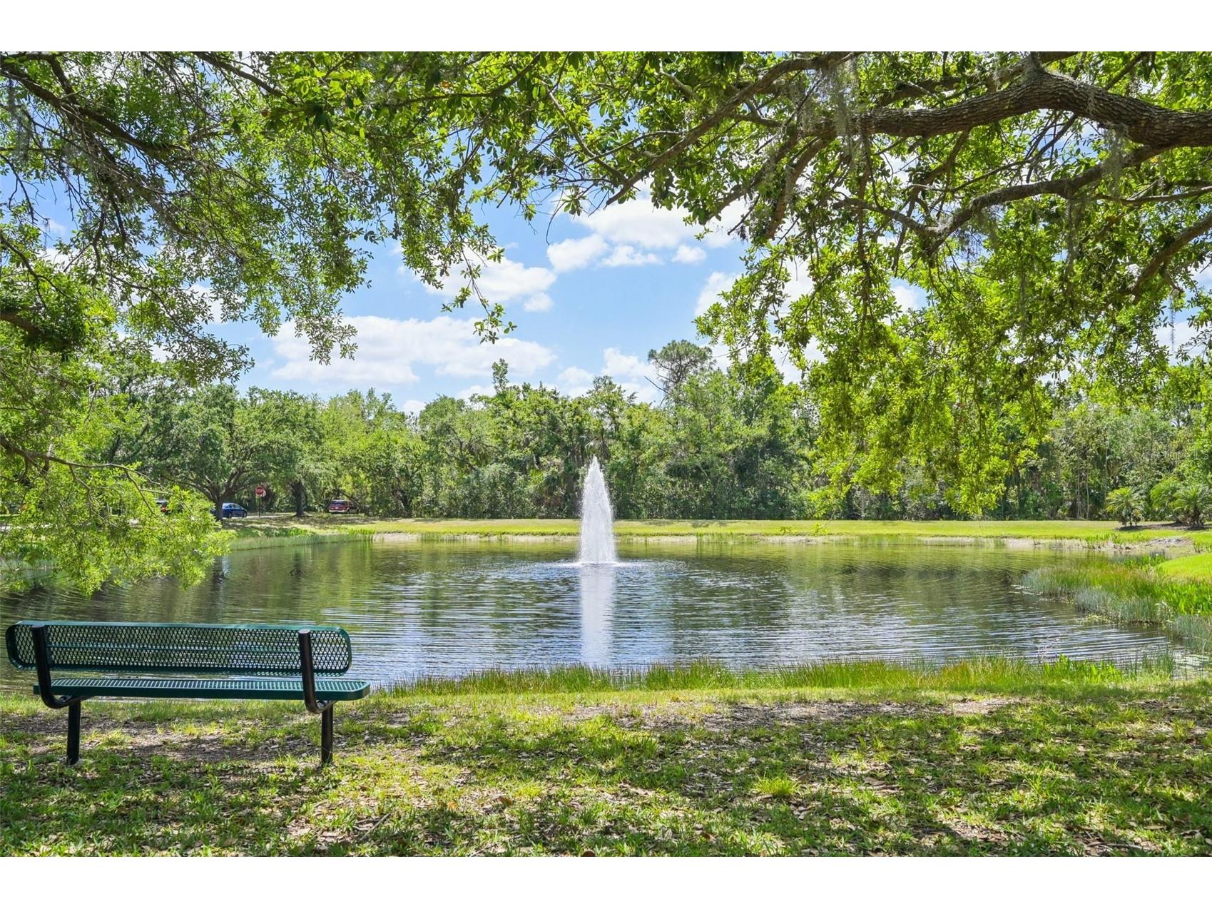 1007 Calico Glen Bradenton FL 34212 A4695014 image80