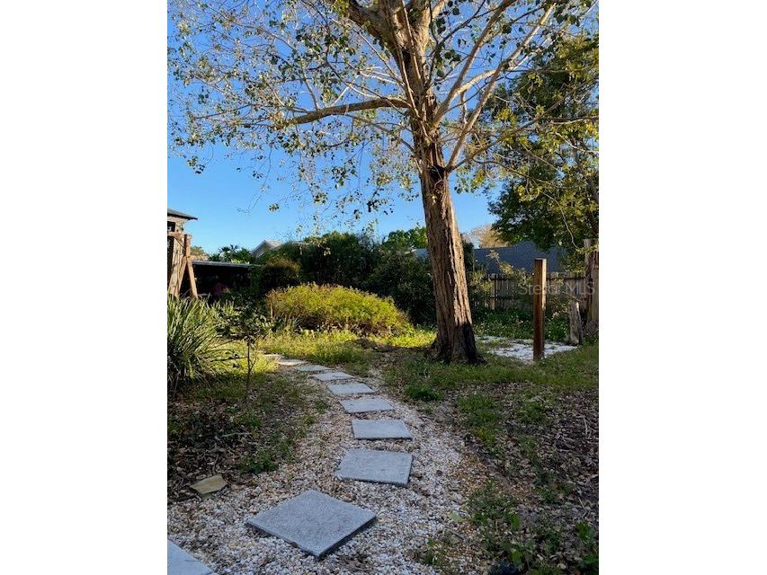 1007 Cutoff Branch Court Oviedo FL 32765 O6414414 image21