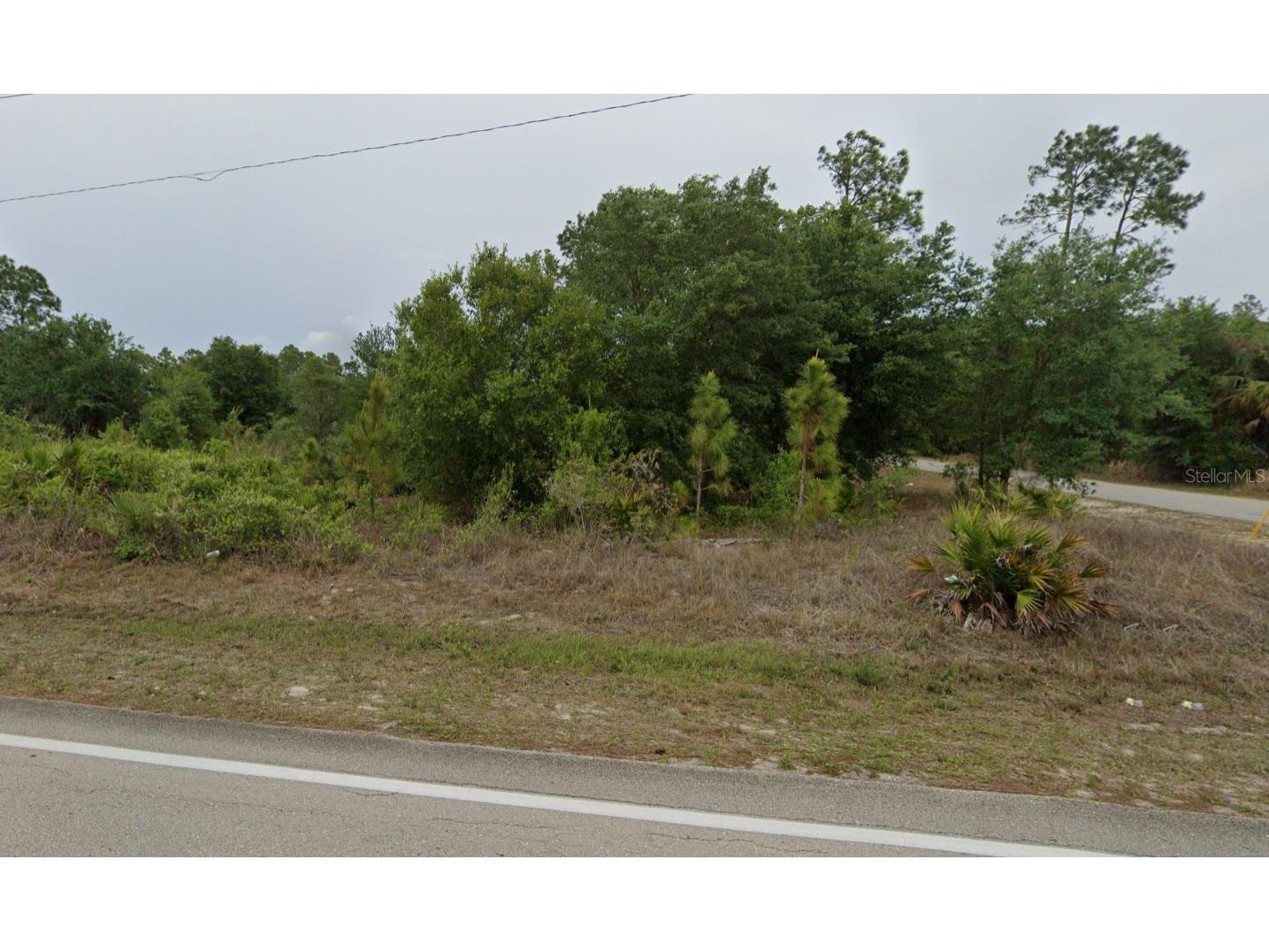 1007 E 10th Street Lehigh Acres FL 33972 C7521846 image1