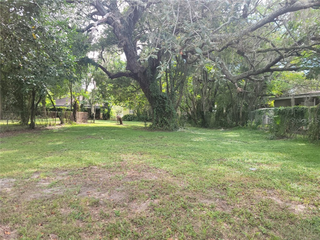 1007 E Eskimo Avenue Tampa FL 33604 T3477268 image1