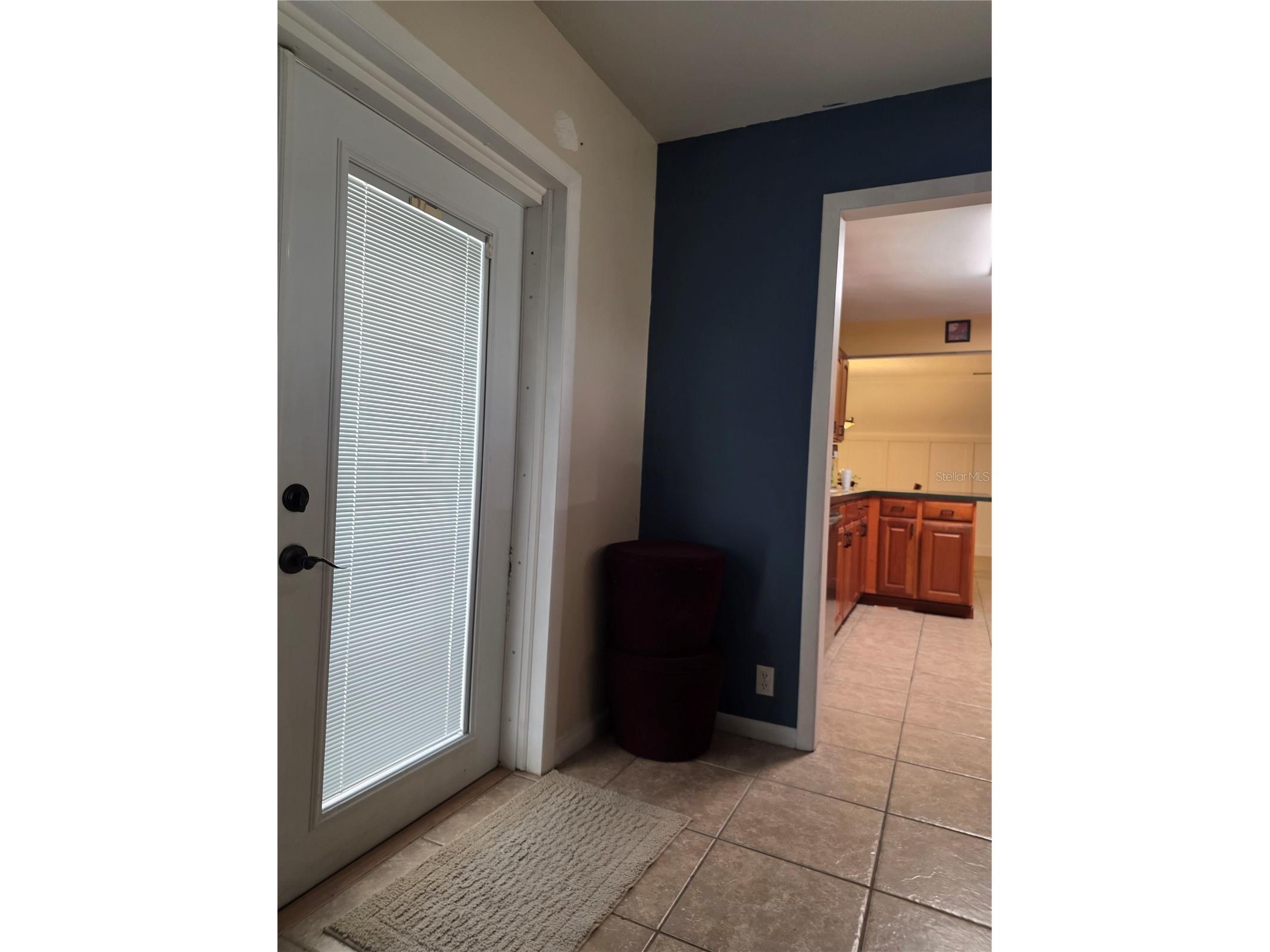 1007 E Yarnell Avenue Lake Wales FL 33853 L4960553 image28