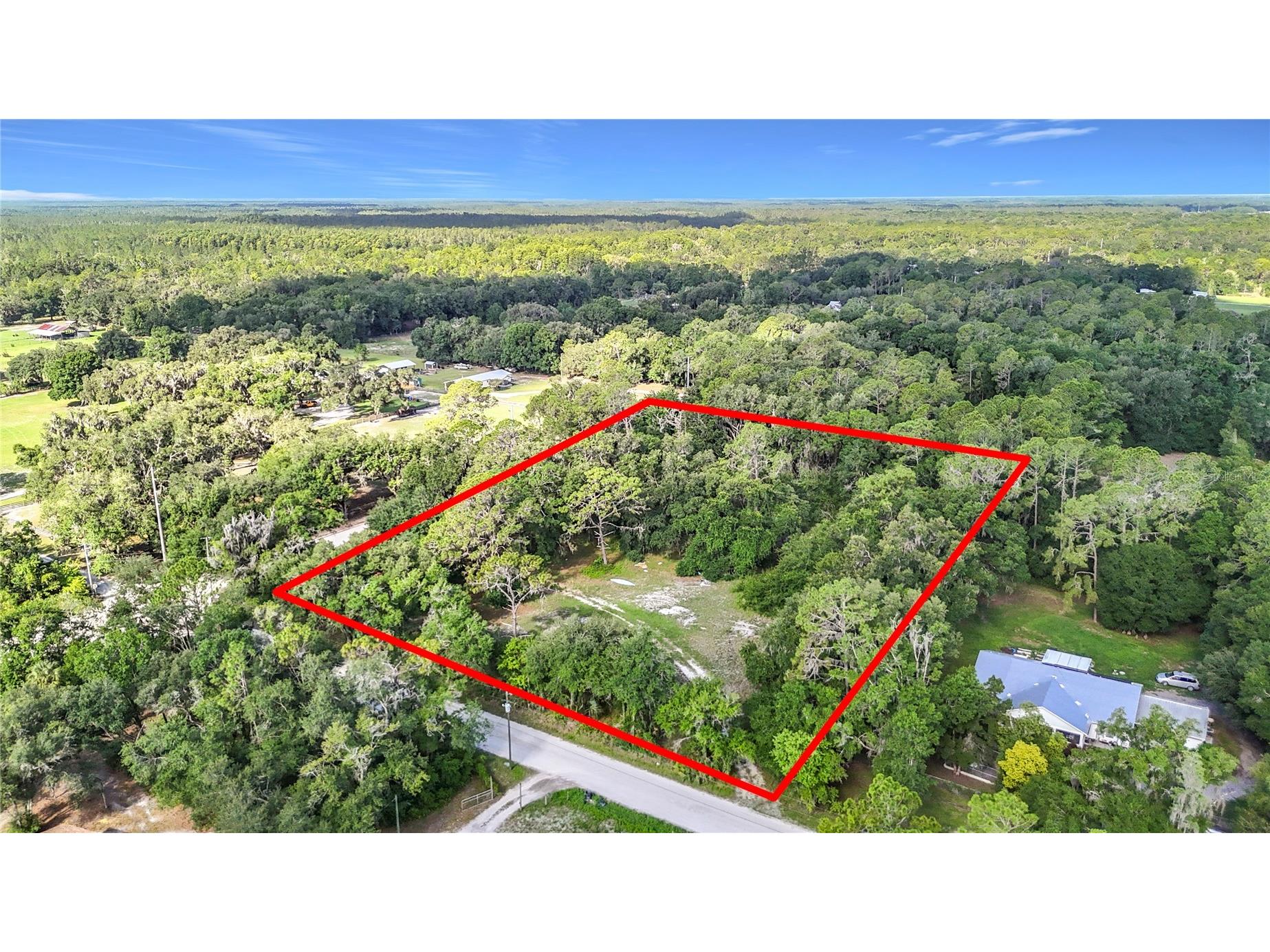 1007 Hawthorn Street Zephyrhills FL 33540 TB8513439 image10