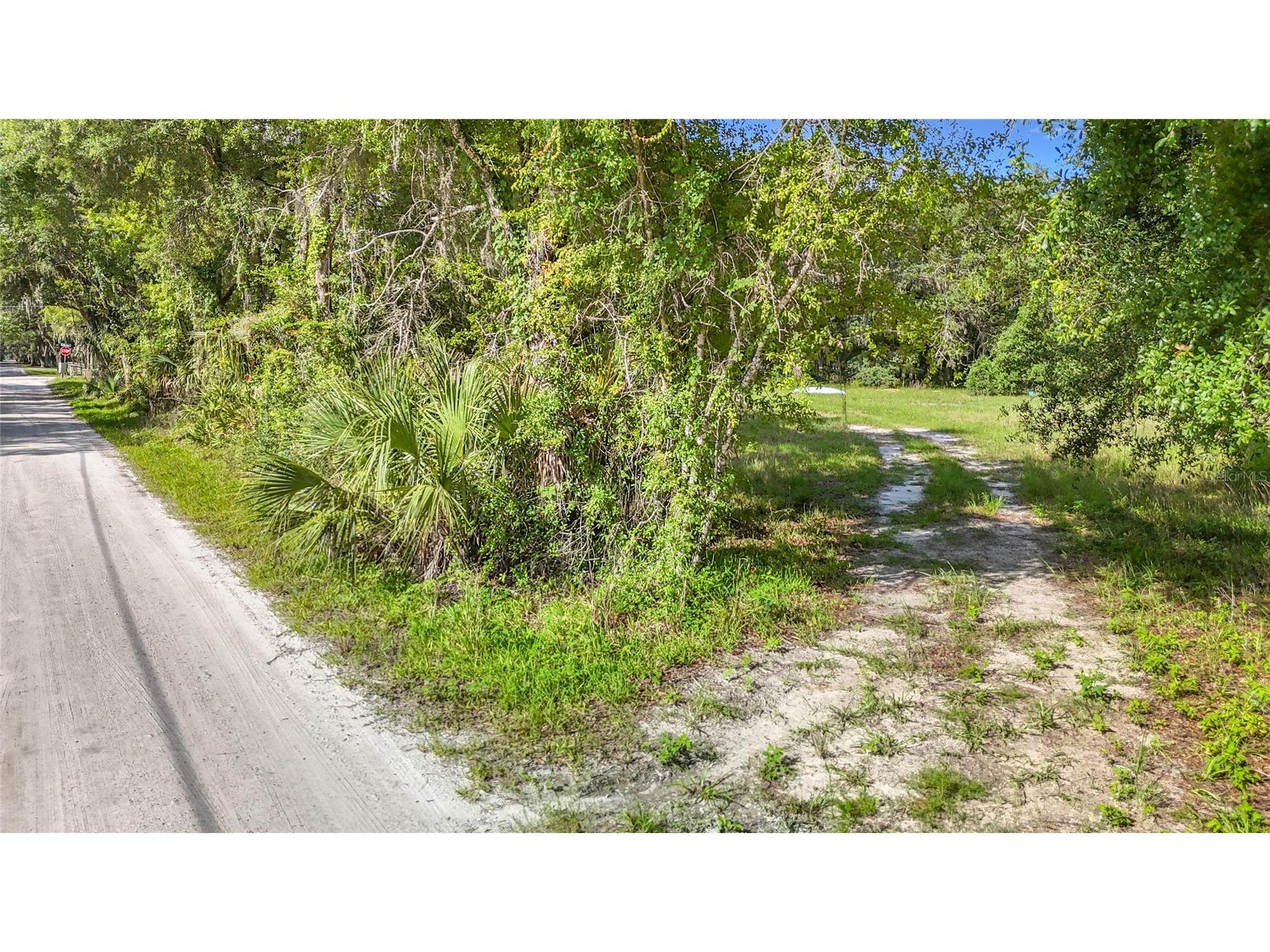 1007 Hawthorn Street Zephyrhills FL 33540 TB8513439 image11