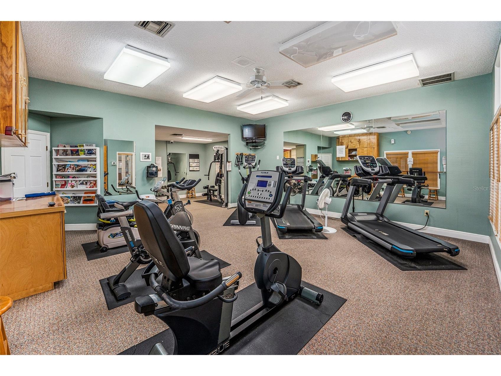 1007 Lake Avoca Drive Tarpon Springs FL 34689 TB8463440 image33