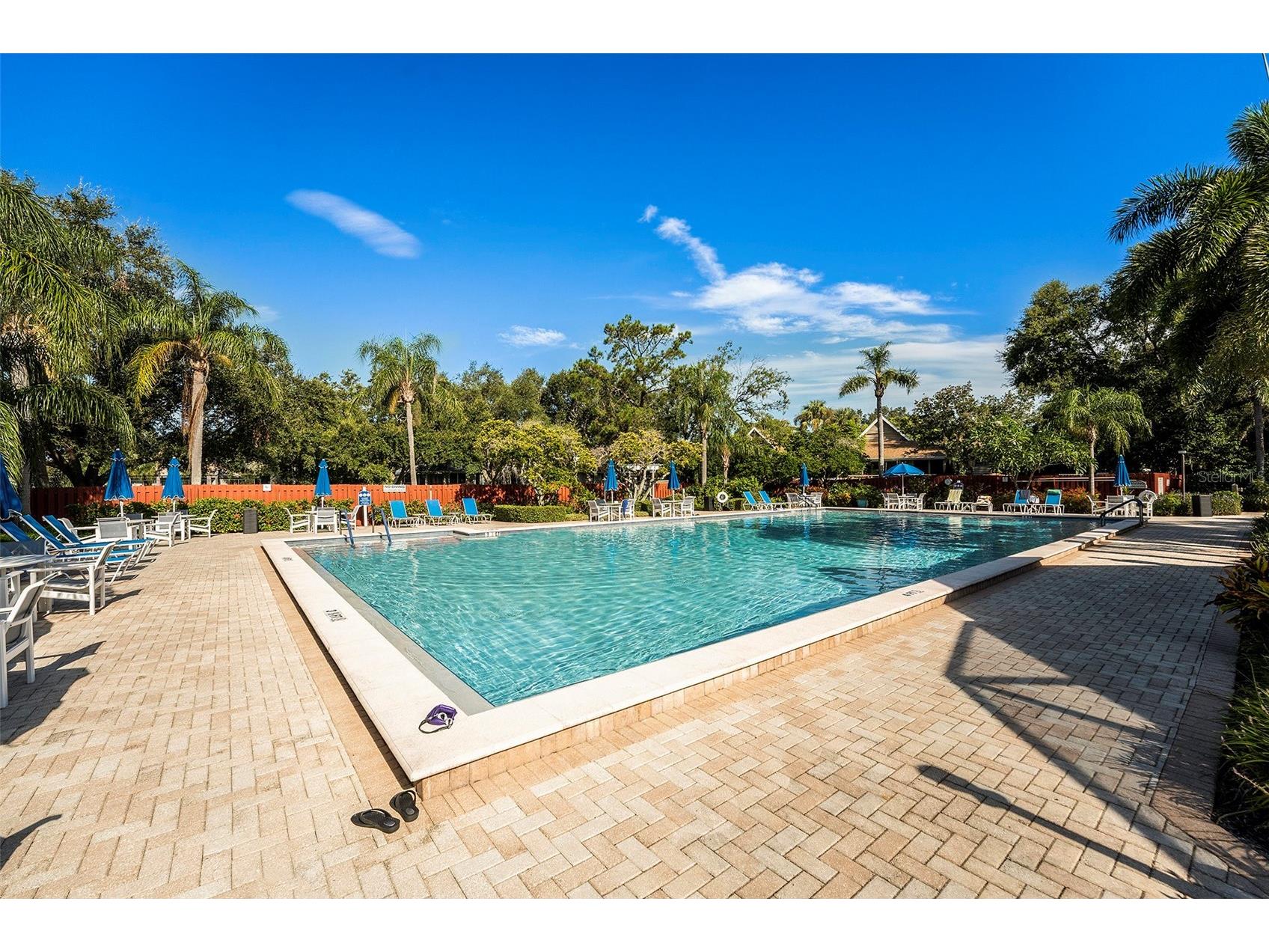 1007 Lake Avoca Drive Tarpon Springs FL 34689 TB8463440 image34