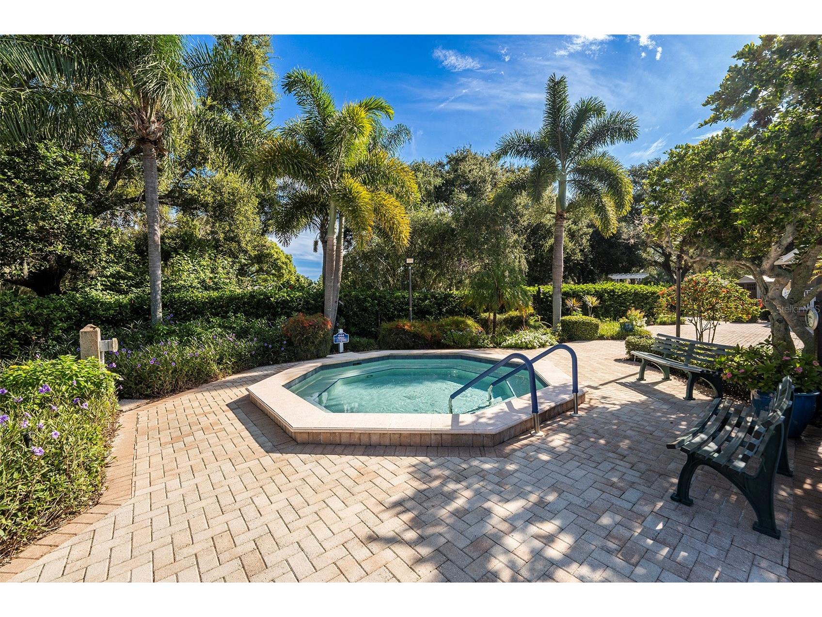 1007 Lake Avoca Drive Tarpon Springs FL 34689 TB8463440 image35