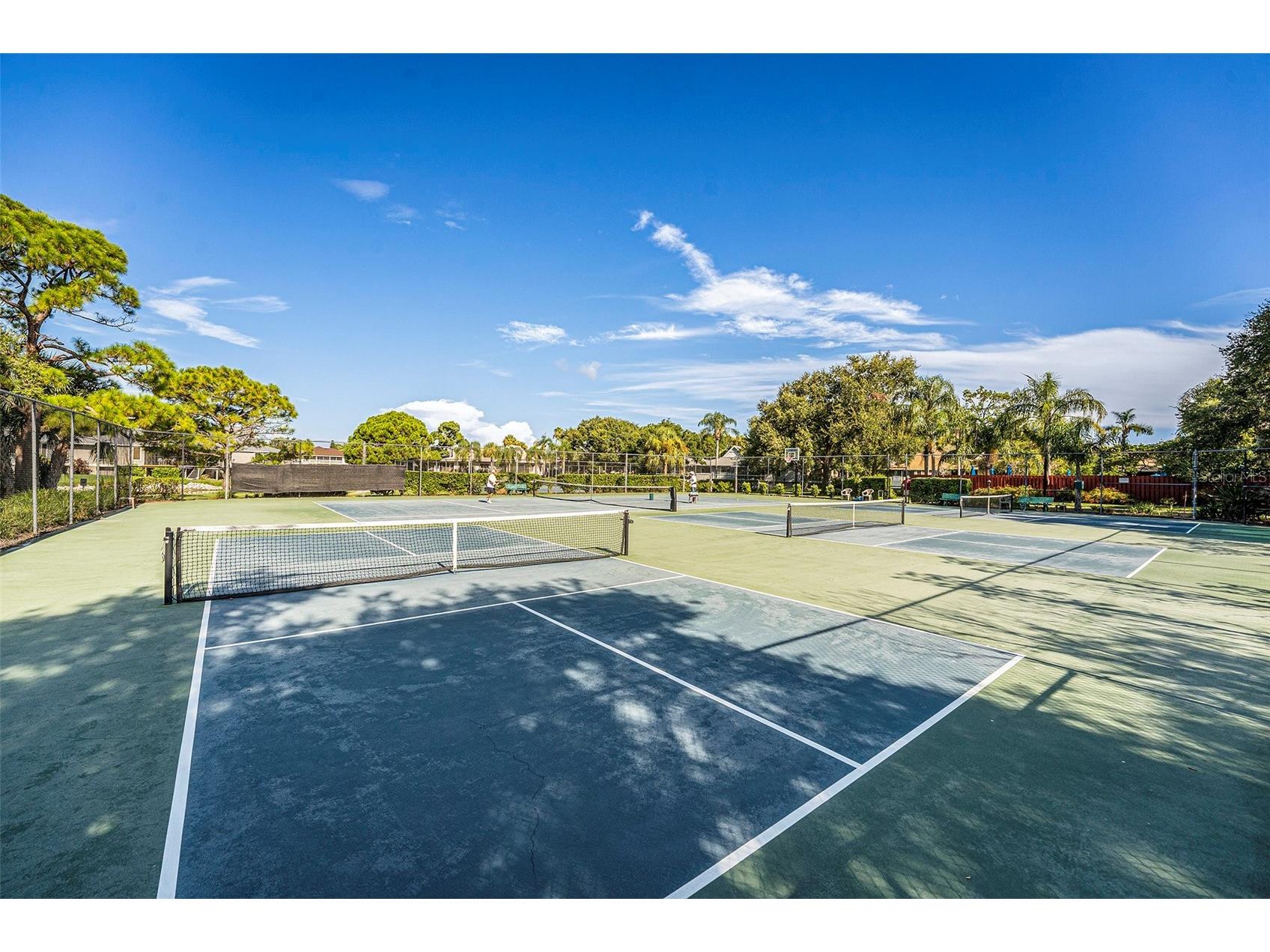 1007 Lake Avoca Drive Tarpon Springs FL 34689 TB8463440 image36