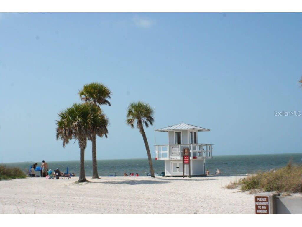 1007 Lake Avoca Drive Tarpon Springs FL 34689 TB8463440 image38