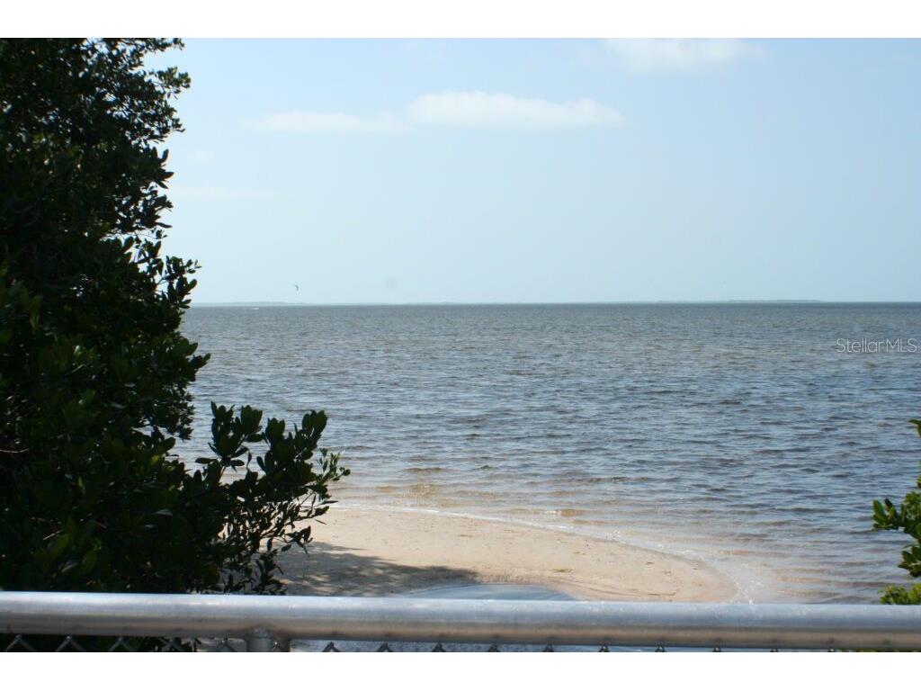 1007 Lake Avoca Drive Tarpon Springs FL 34689 TB8463440 image39