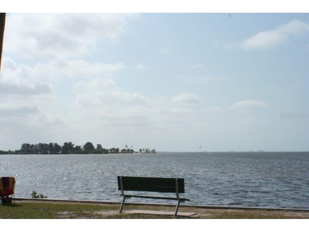 1007 Lake Avoca Drive Tarpon Springs FL 34689 TB8463440 image42