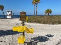 1007 Lake Avoca Drive Tarpon Springs FL 34689 TB8463440 image43
