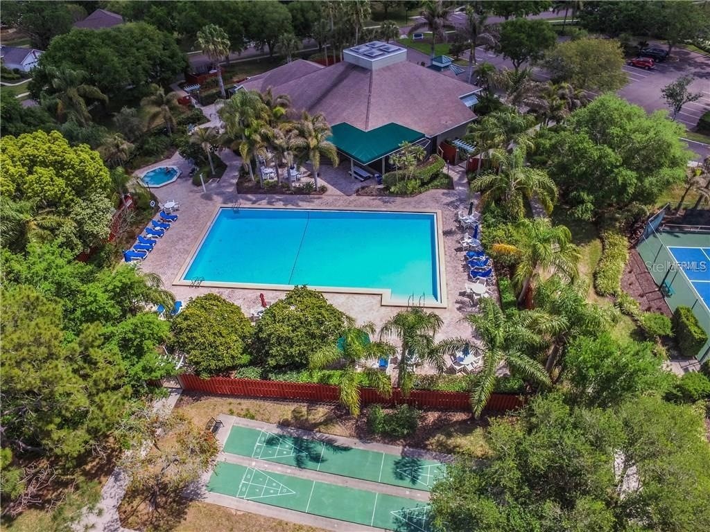 1007 Lake Avoca Drive Tarpon Springs FL 34689 W7880008 image34