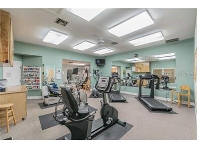 1007 Lake Avoca Drive Tarpon Springs FL 34689 W7880008 image36