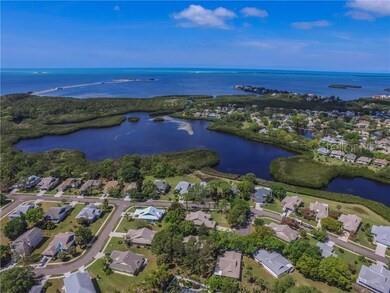 1007 Lake Avoca Drive Tarpon Springs FL 34689 W7880008 image40