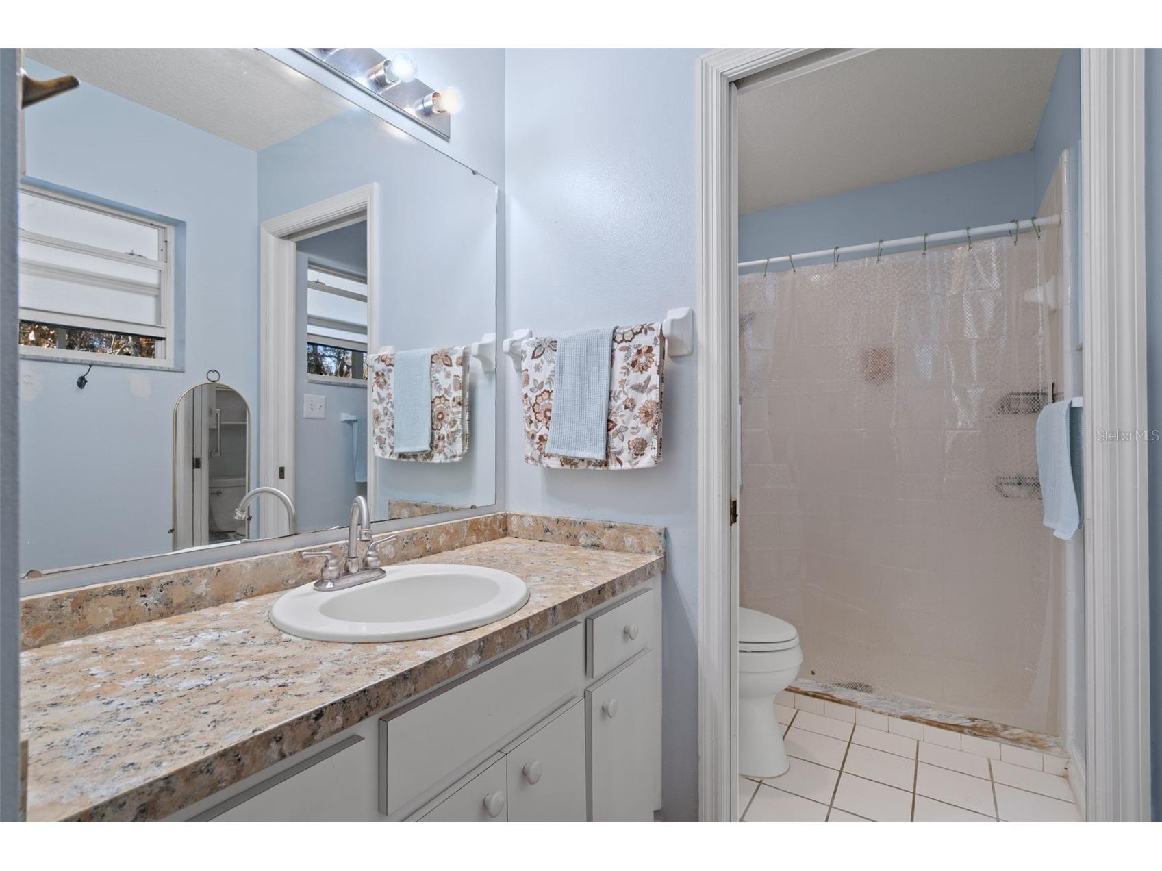 1007 Lantana Drive Eustis FL 32726 O6385181 image10